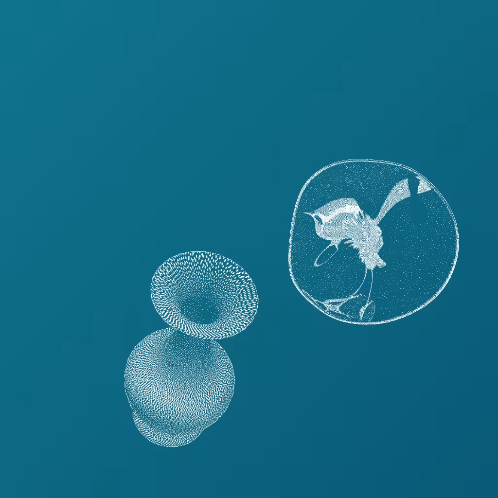 World is Turning Tokenized #15