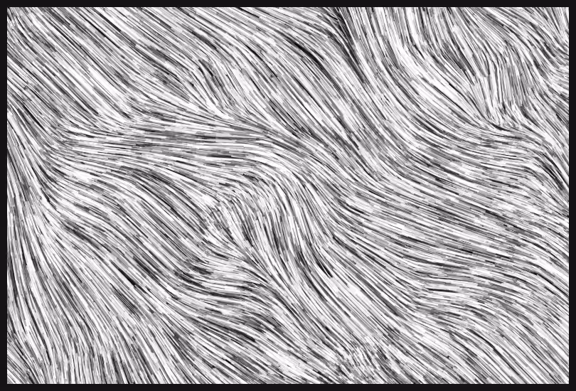 Tūroa #4