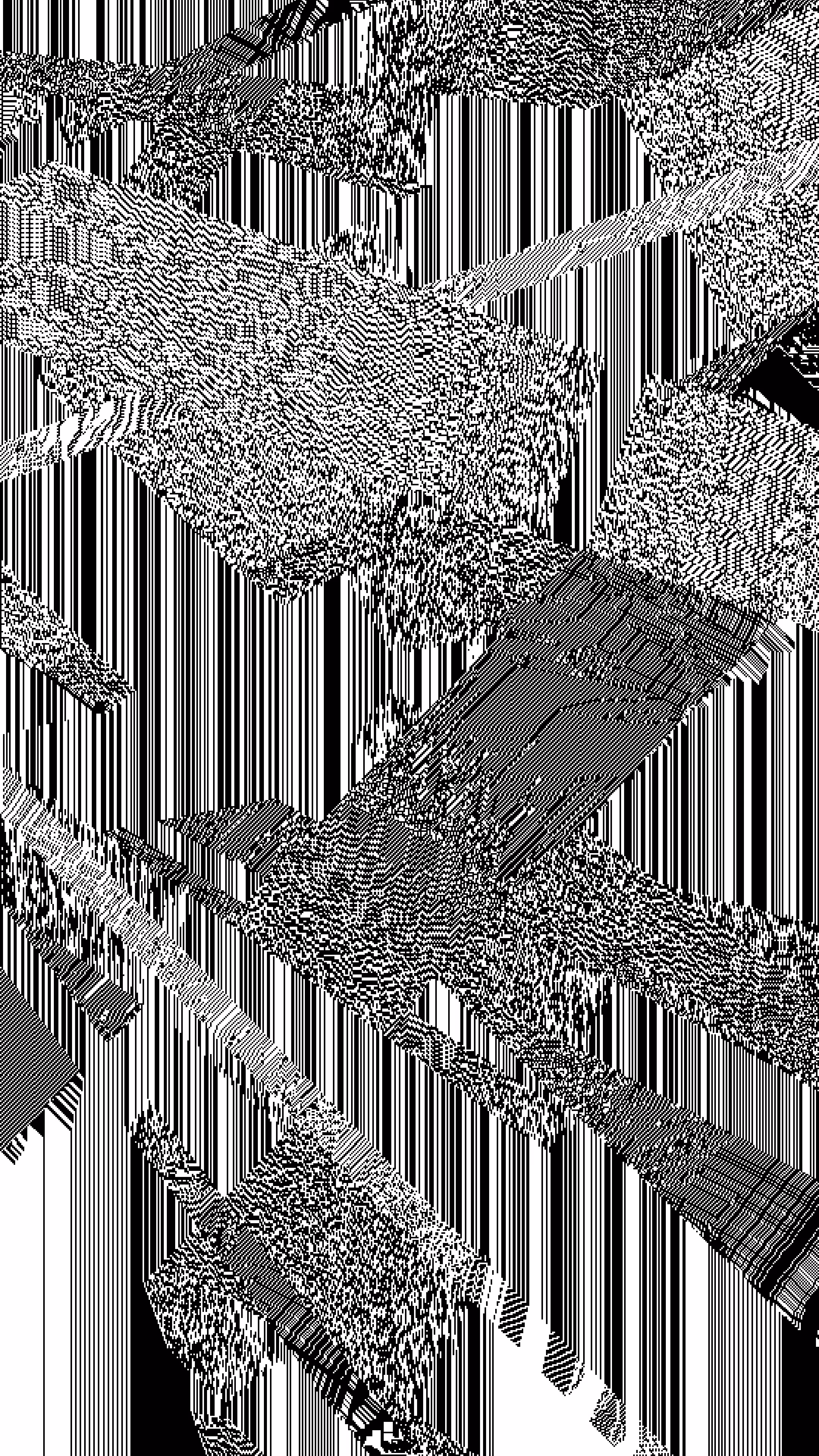 Rainforest 2