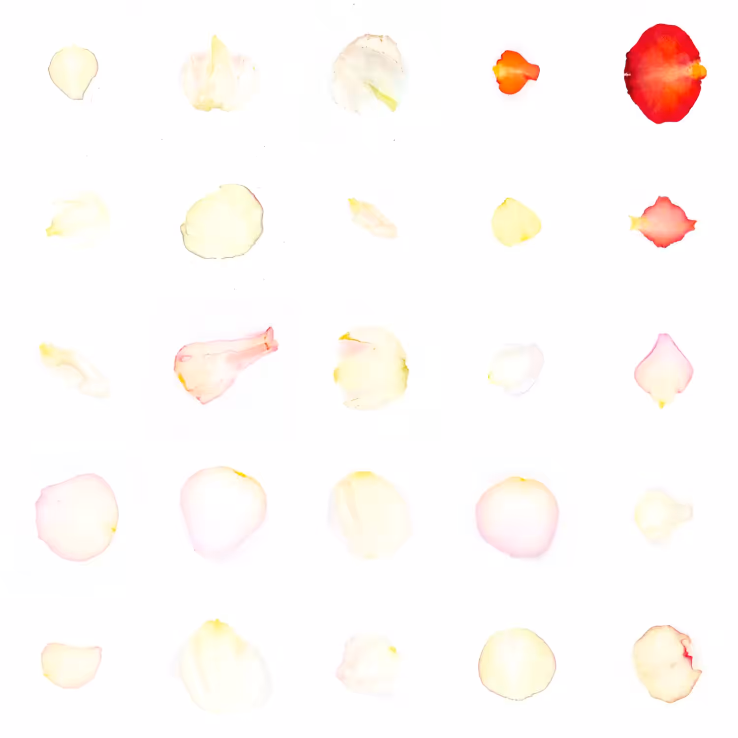 Infinite Petals 5x5#20090
