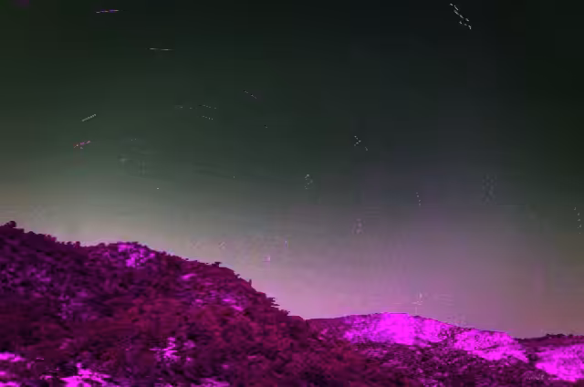A psychedelic path