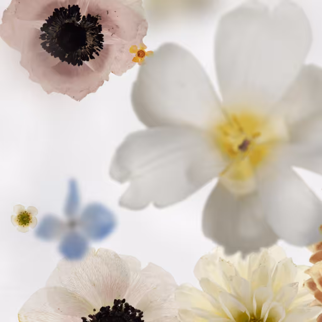 Broken Flowers #11