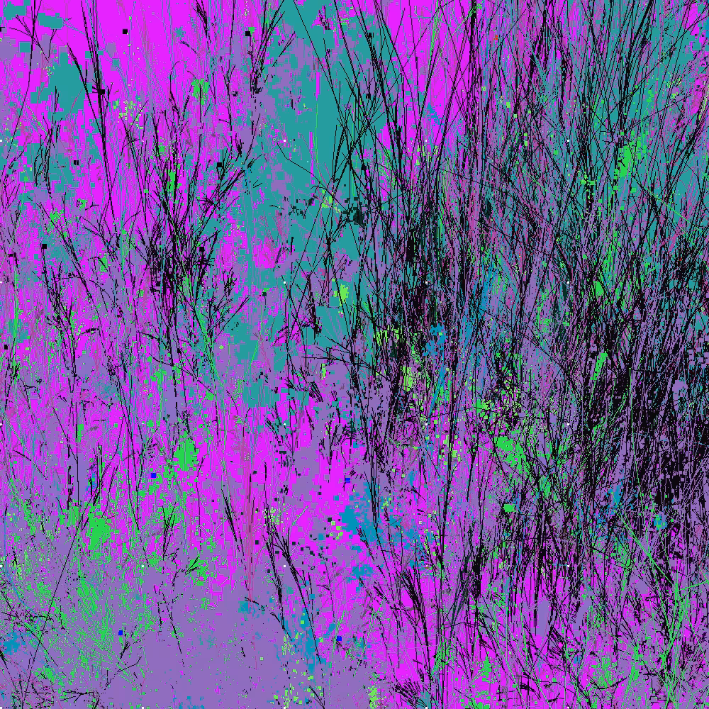 Infinite Garden: 87689 Flowers