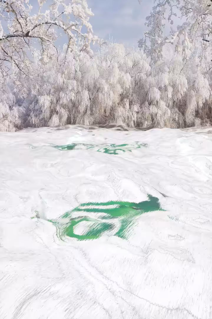 Winter octopus