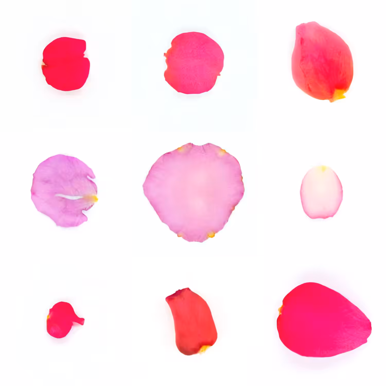 Infinite Petals 3x3#20496
