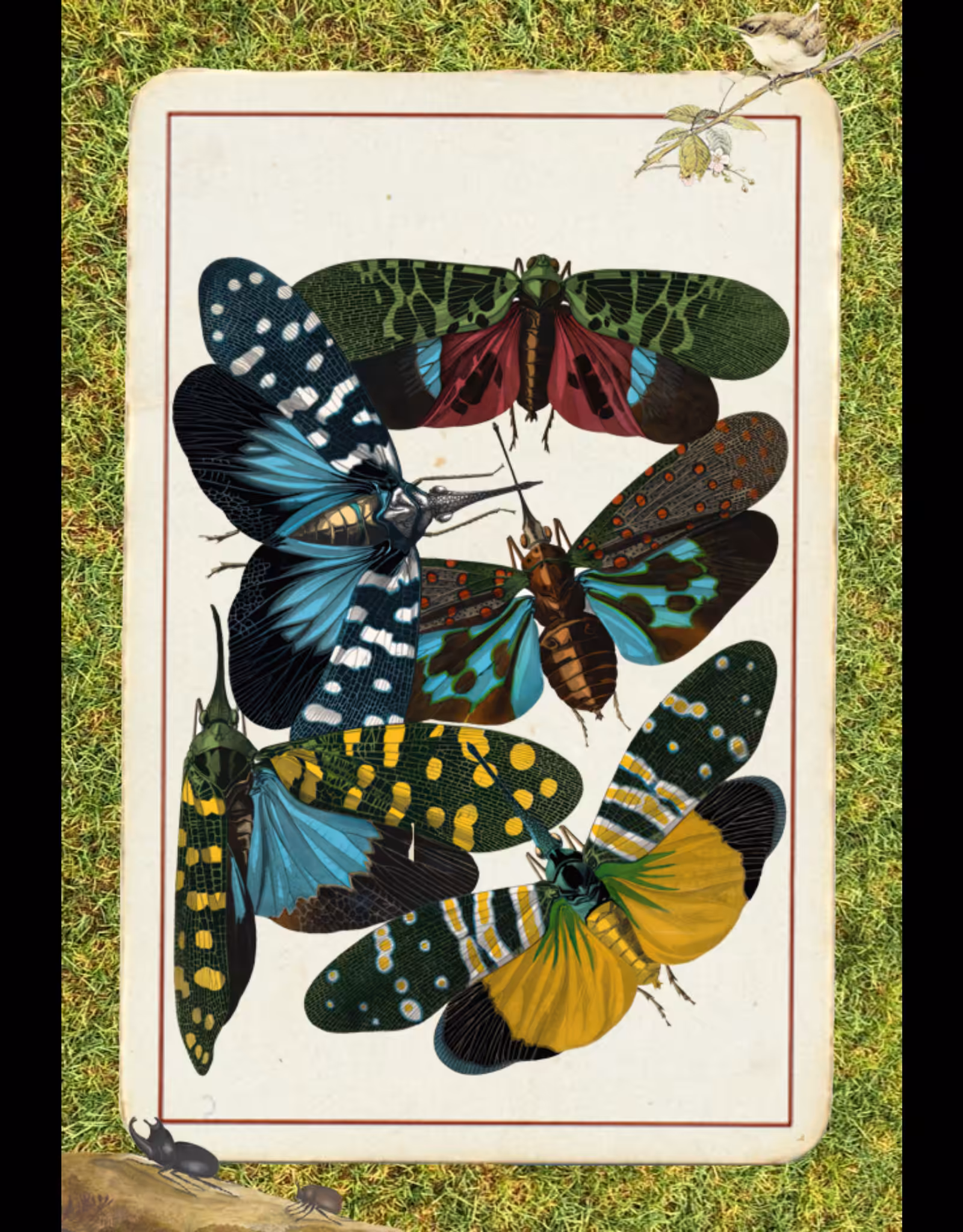 Paper Bugs #15