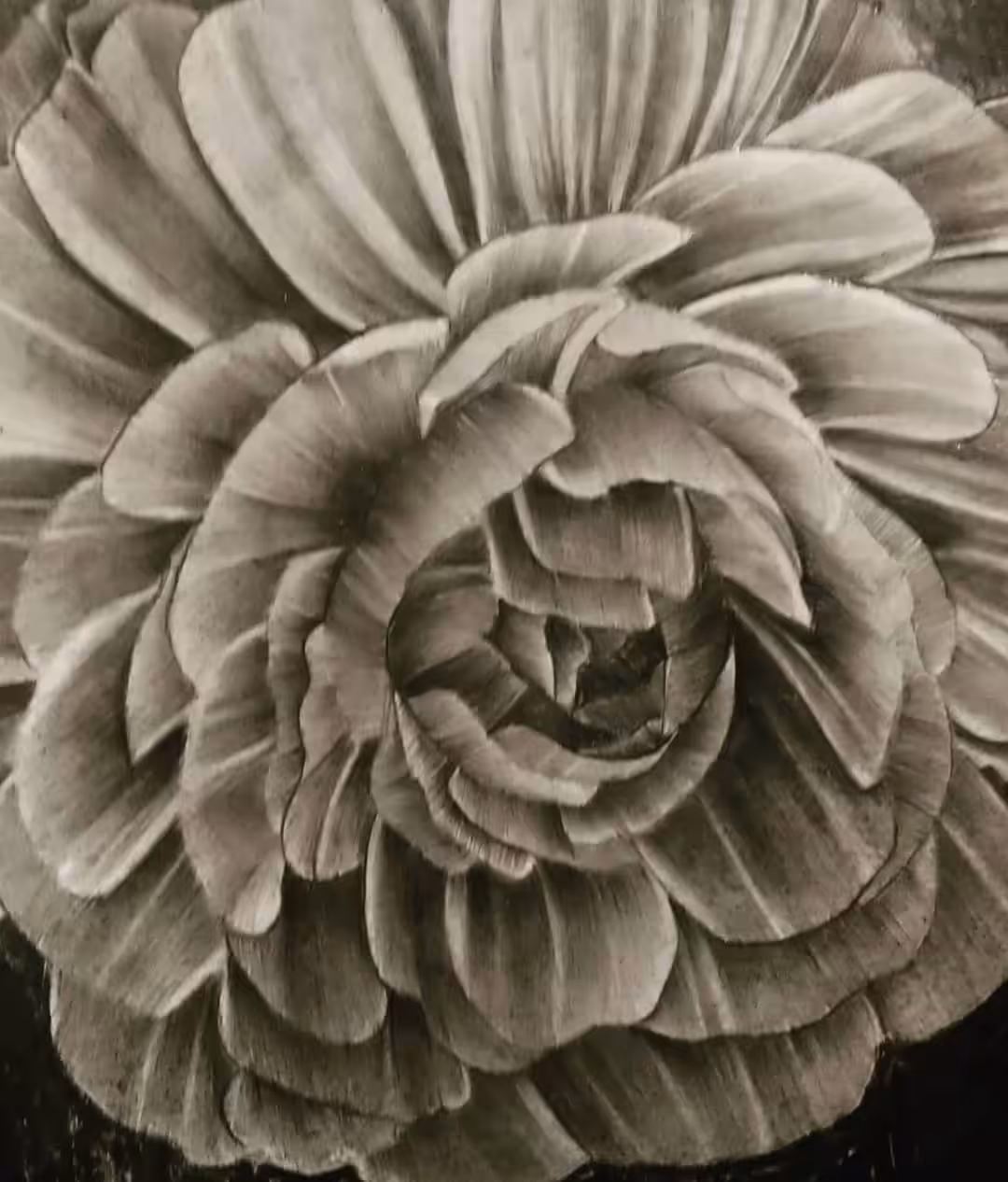 Flor #1