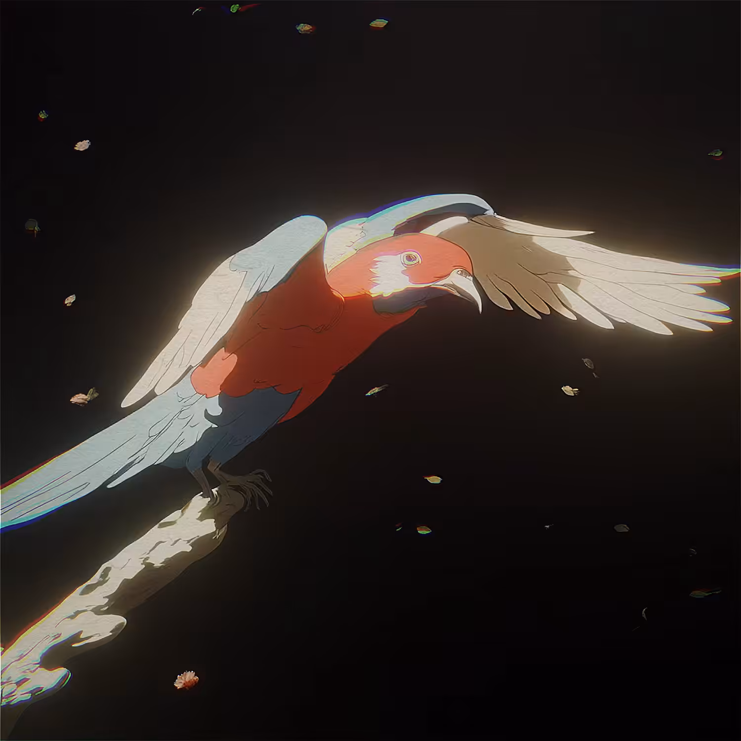 Bird