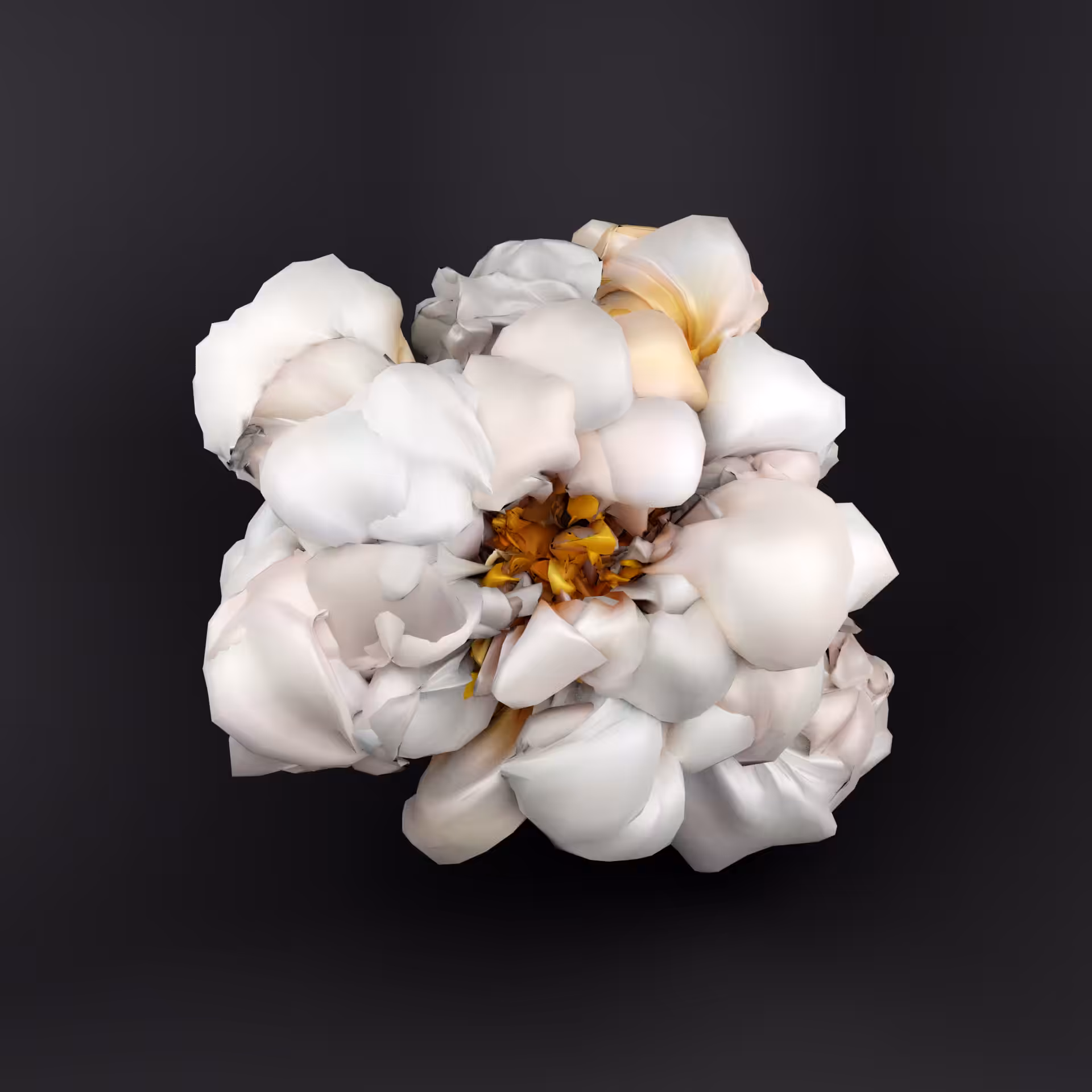 Blender Cycles Flora 013.008