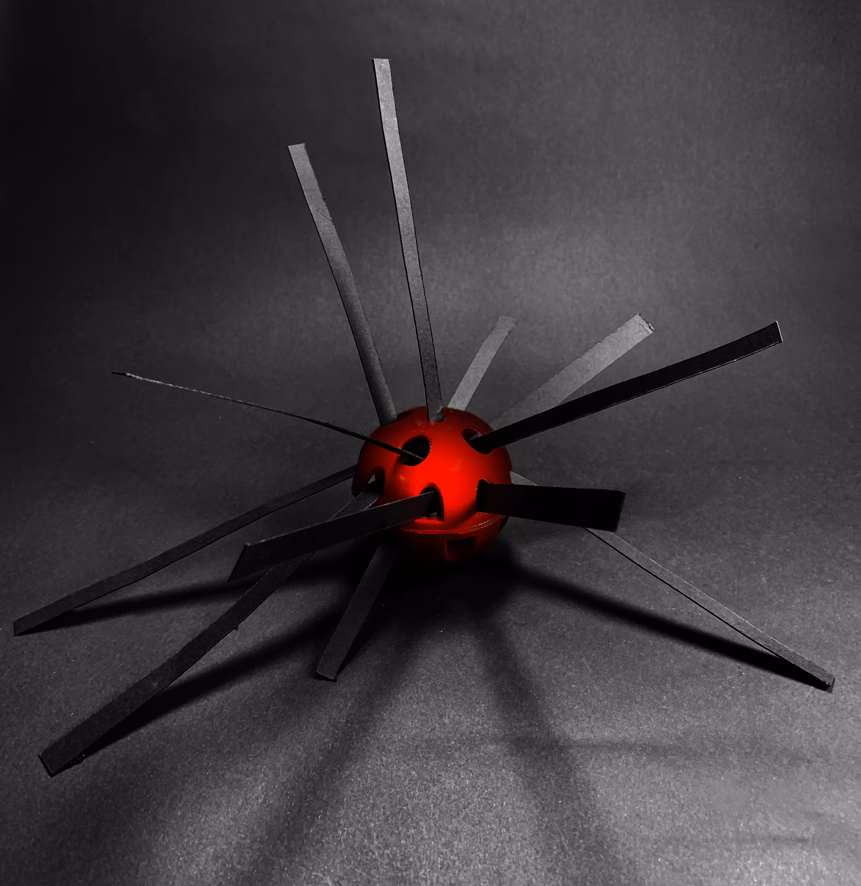 Sea urchin