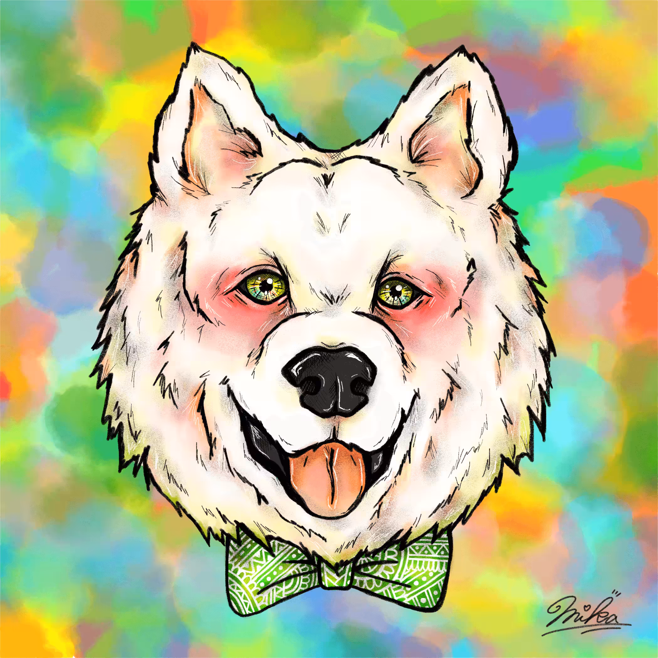 Samoyed