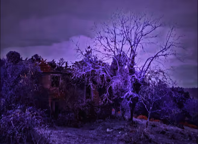 Something happens in the Purple world #1
