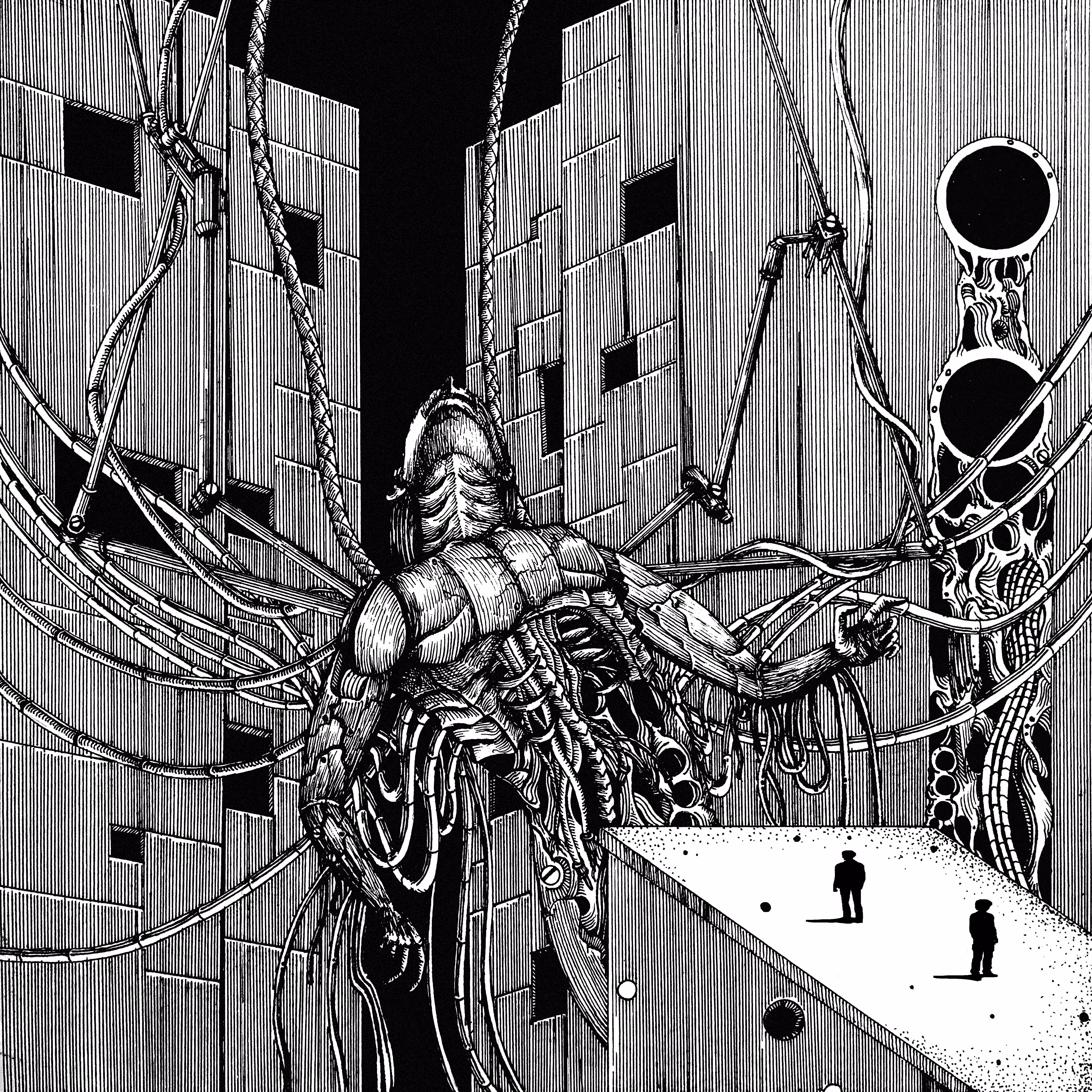 CHAOTIC DISSIDIAN