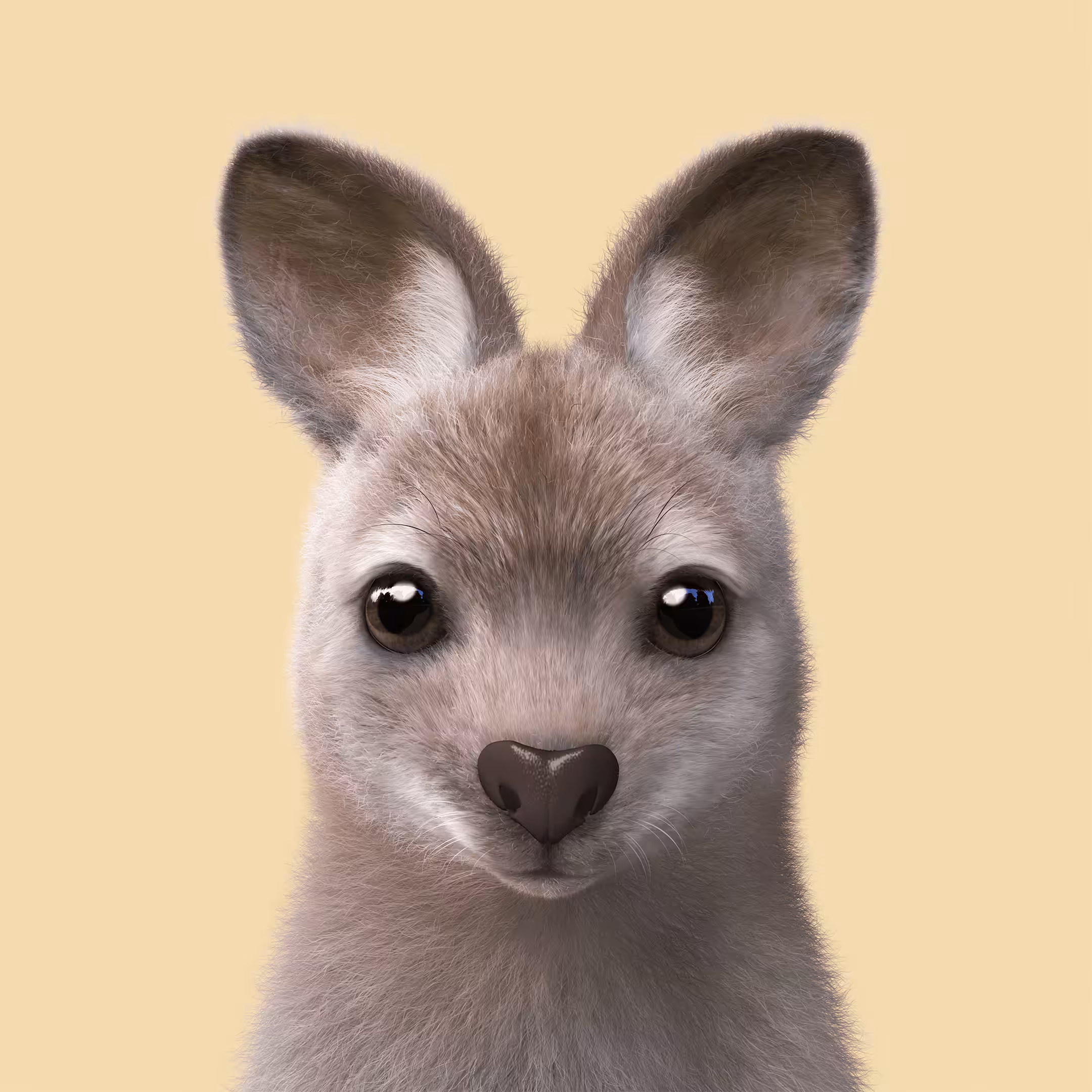 Sugar Cat & Candy Doggie: #347 Wawa the Wallaby