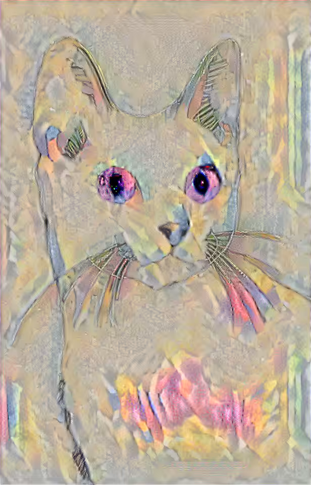Cat #5