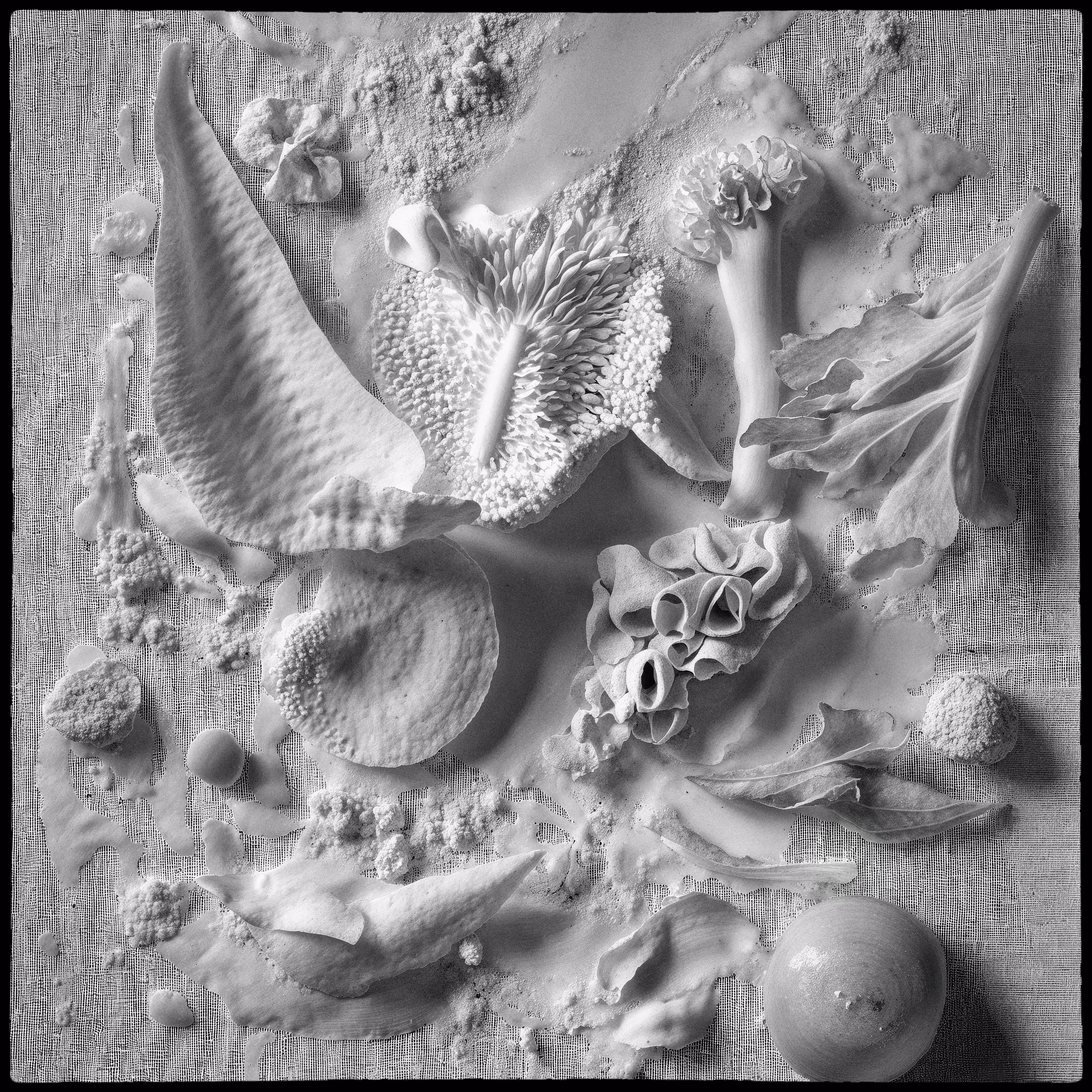 "Les Yeux fermés de la nature" #003