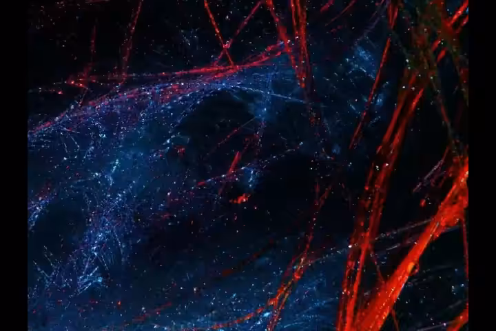 Galaxy