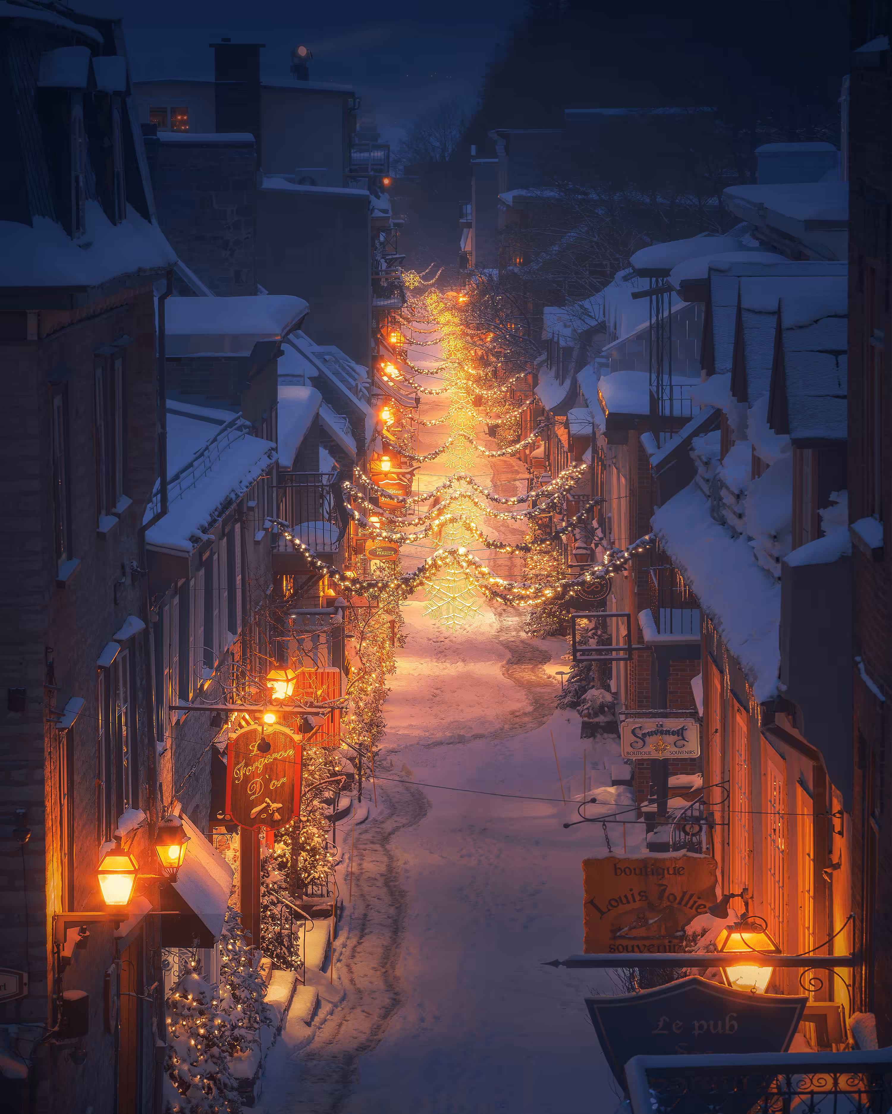 #23 Festive Lights