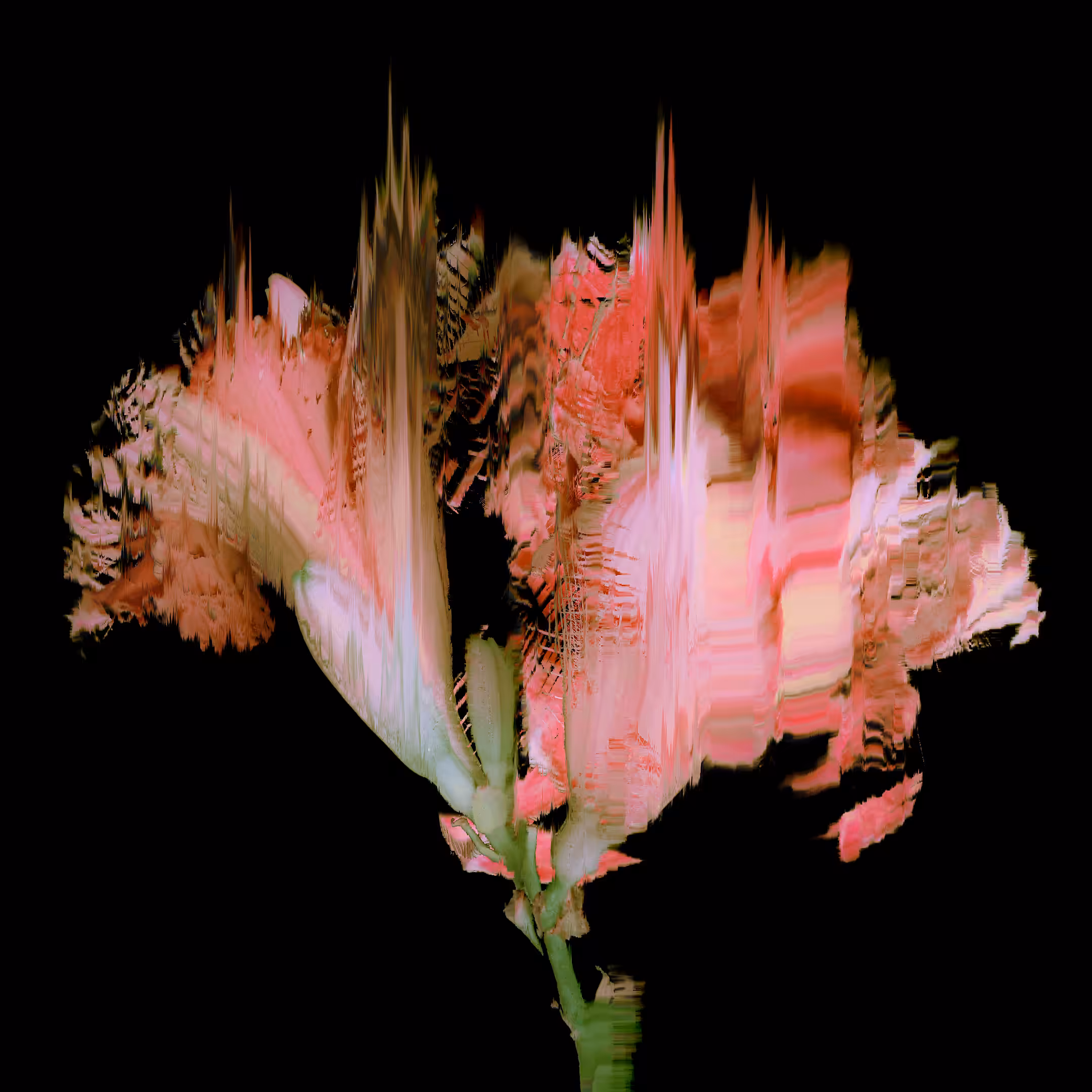 MESSY FLOWER #1