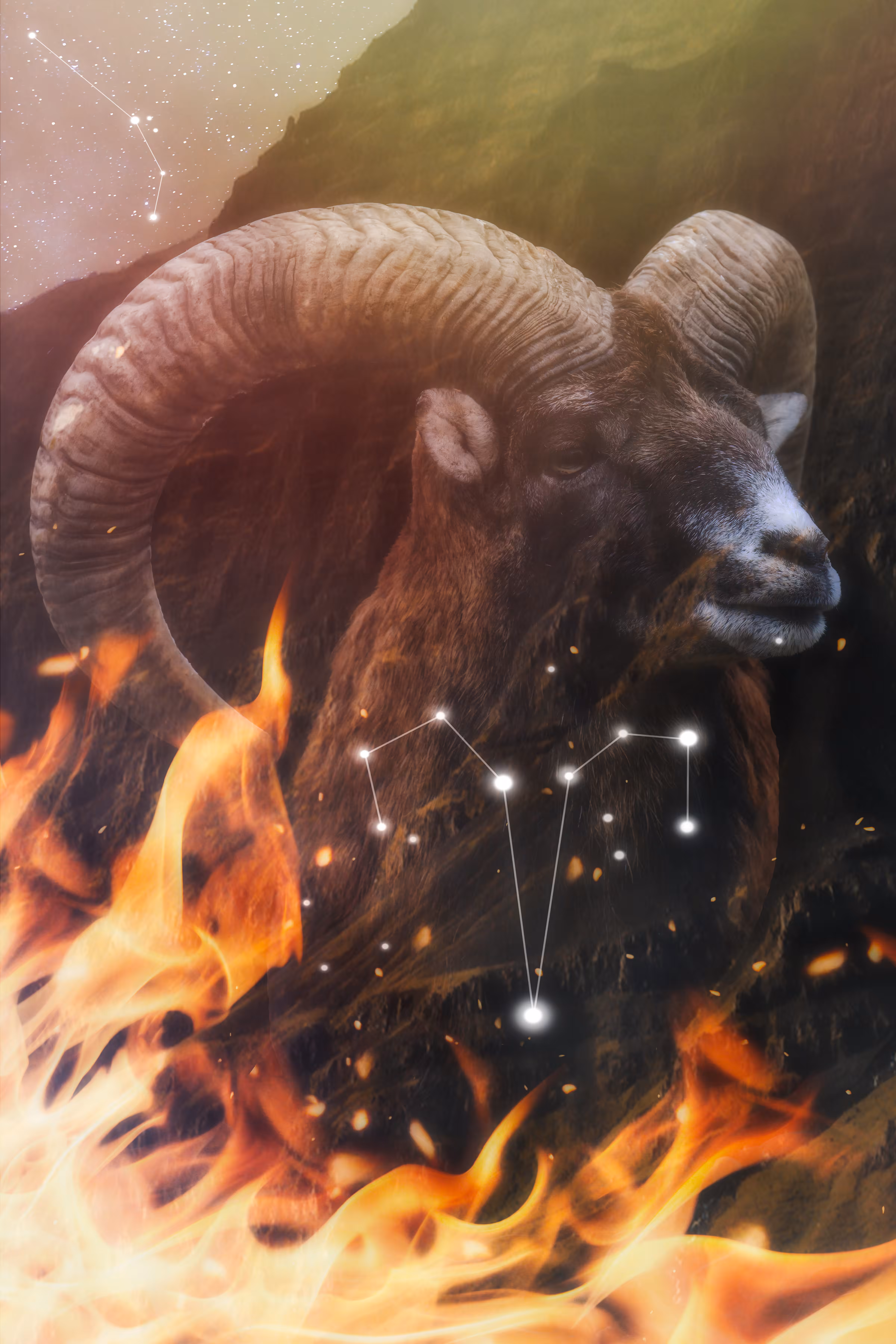 Aries Magic 