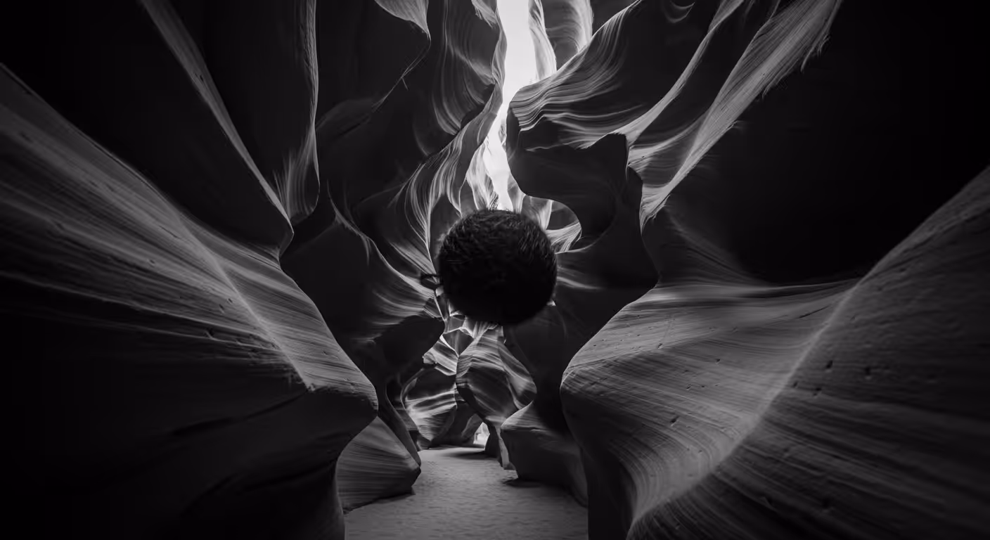Monochrome Abyss