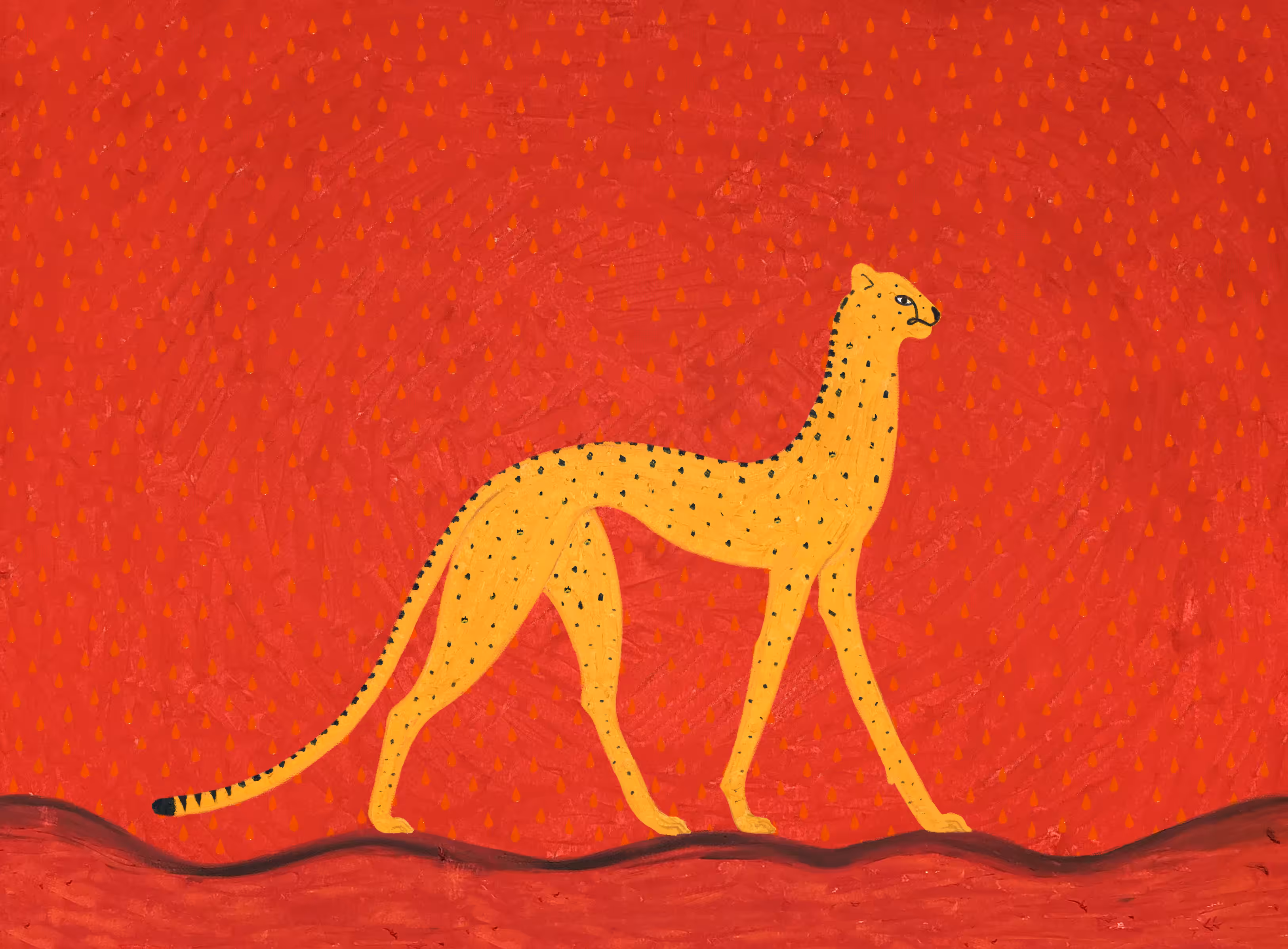 Chimera Red Cheetah
