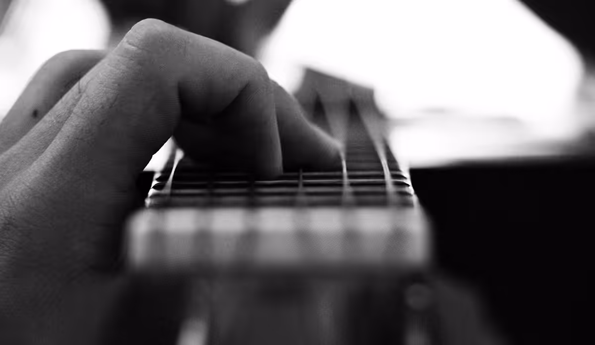 Guitar