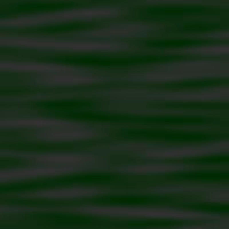 NOISY WAVES #2 #1