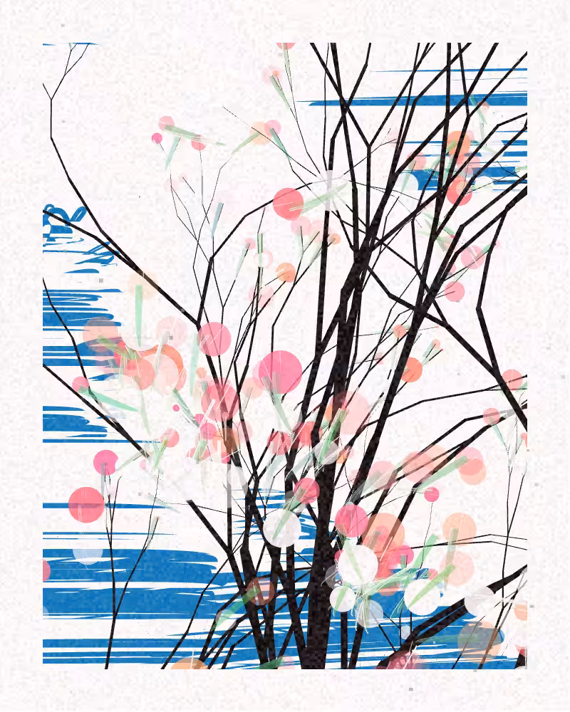 The Blossoms Behind the River