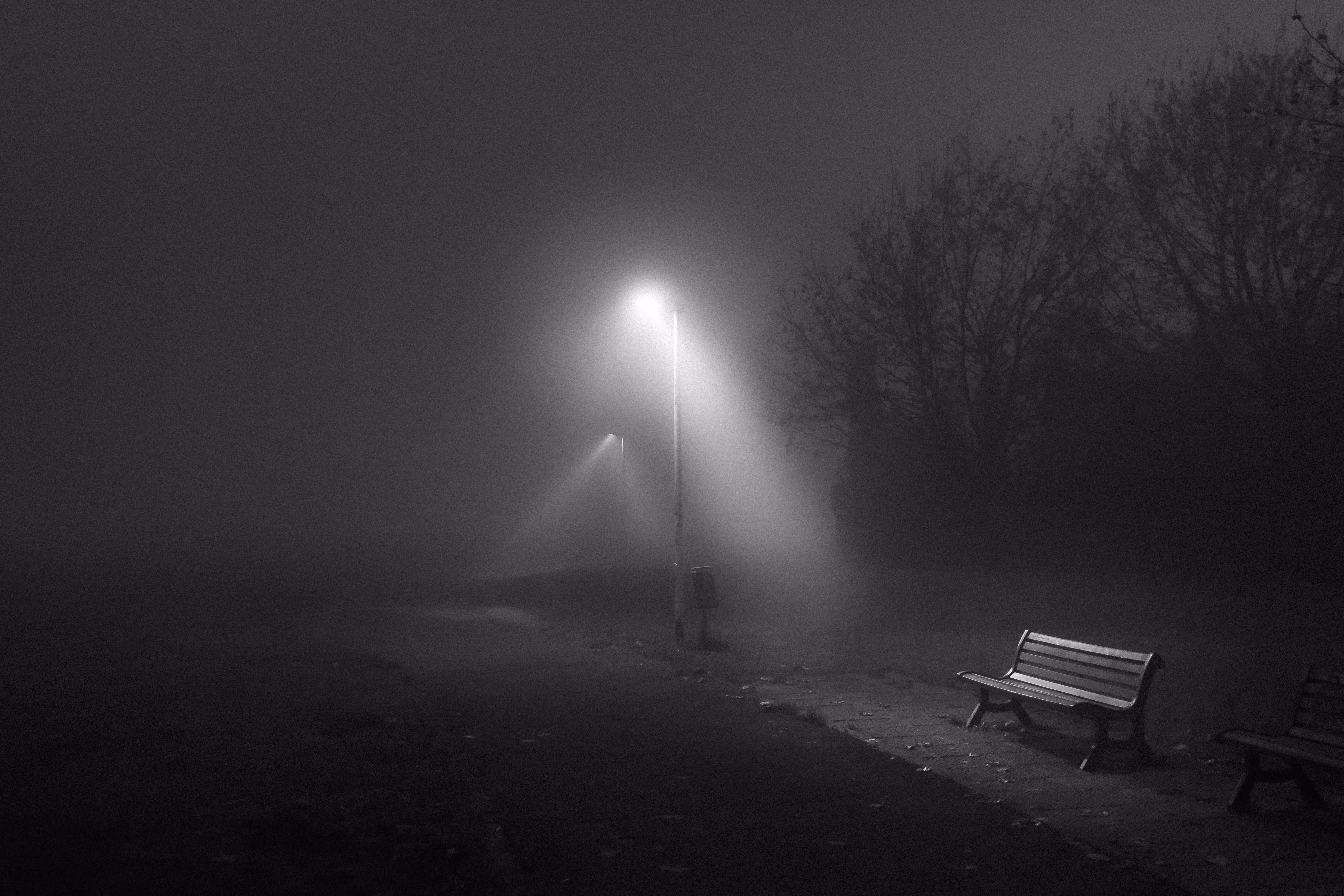 Nebbia 1