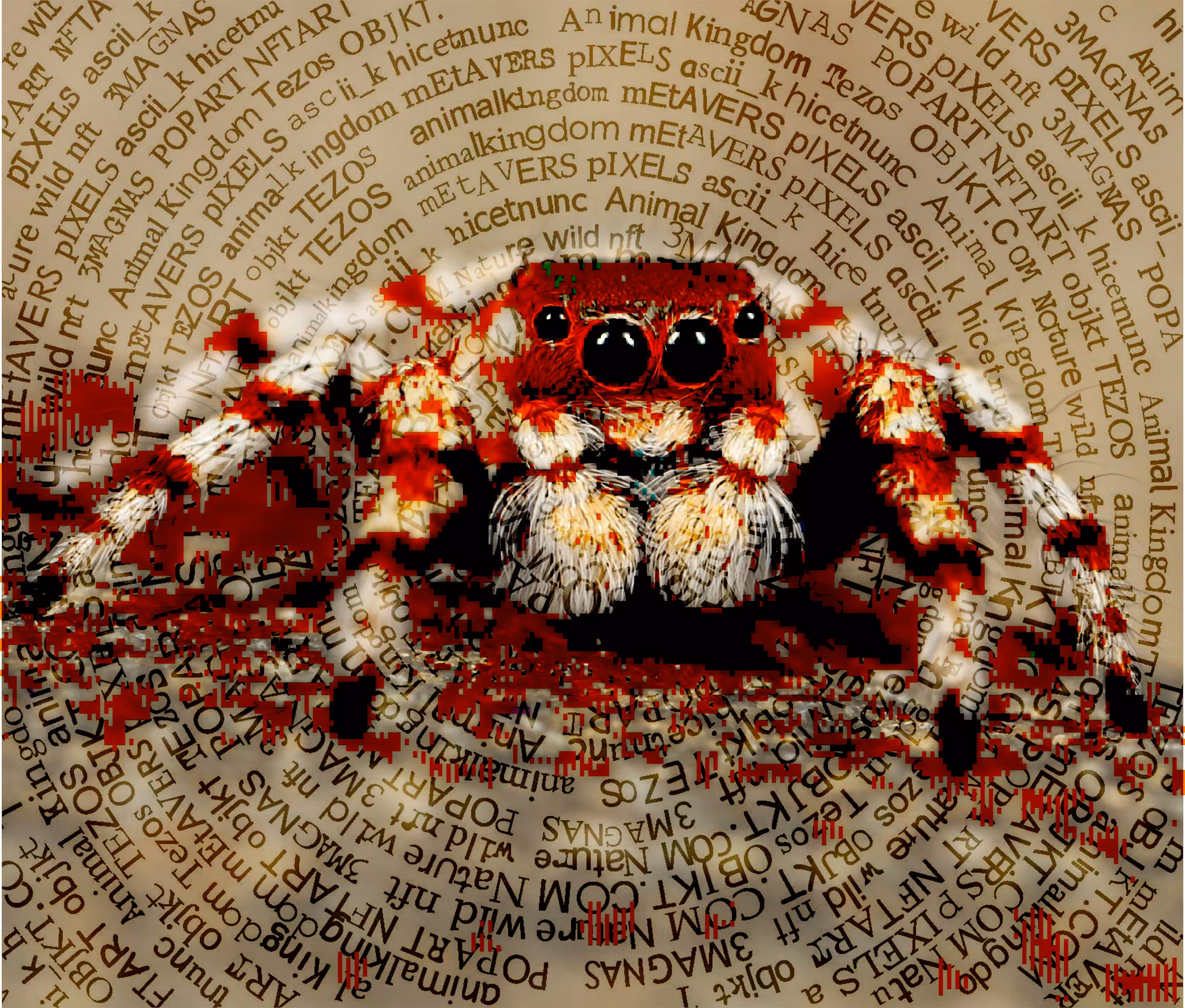 Studies for Animal Kingdom. ARACHNID (SPIDER) V6.6.6