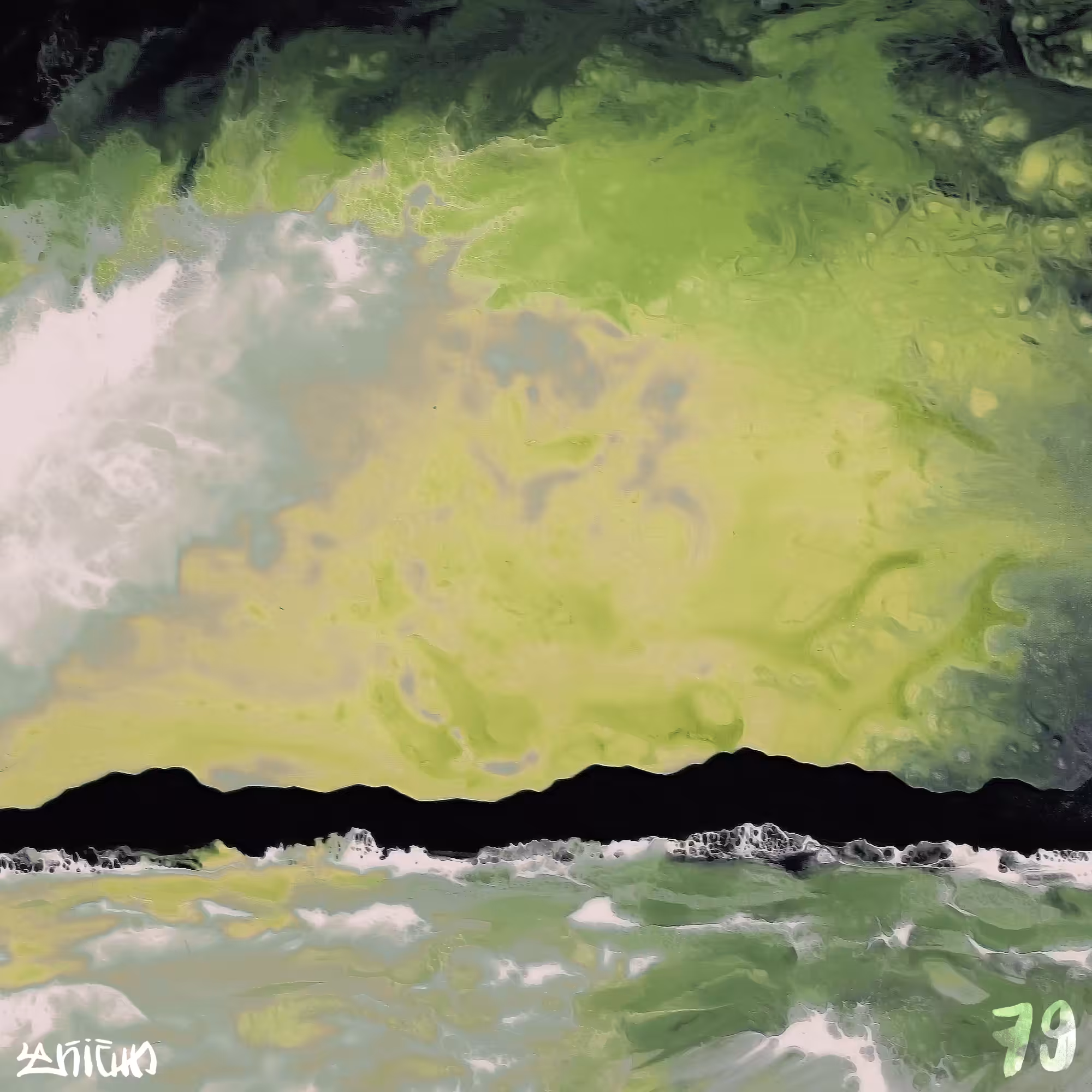 Fluidscape №79