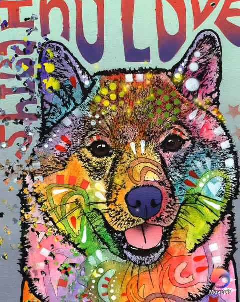 Shiba Digital 