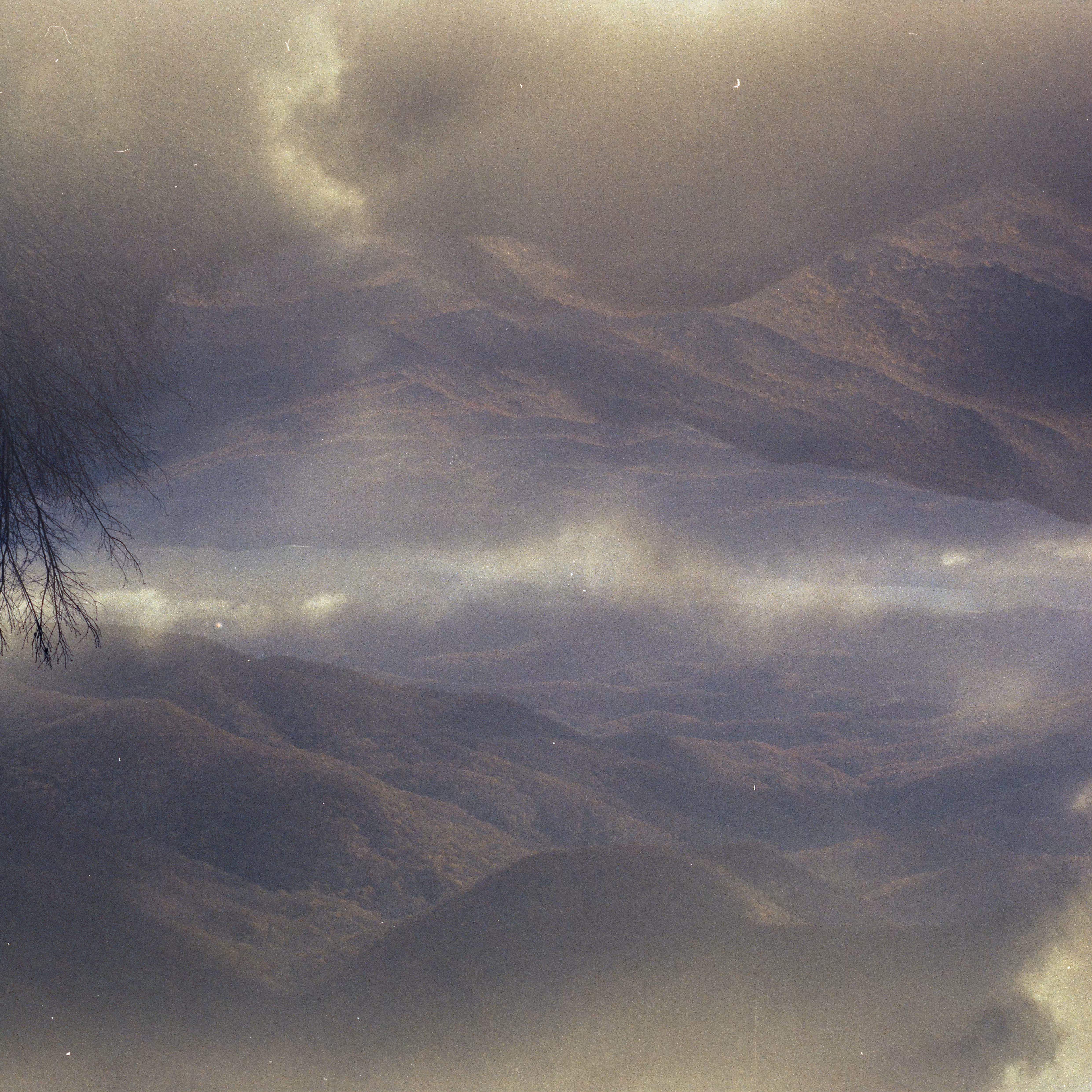 Golden Fog