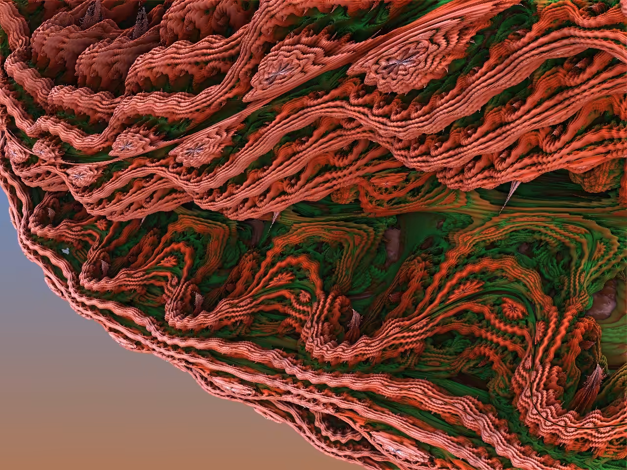 clamshell