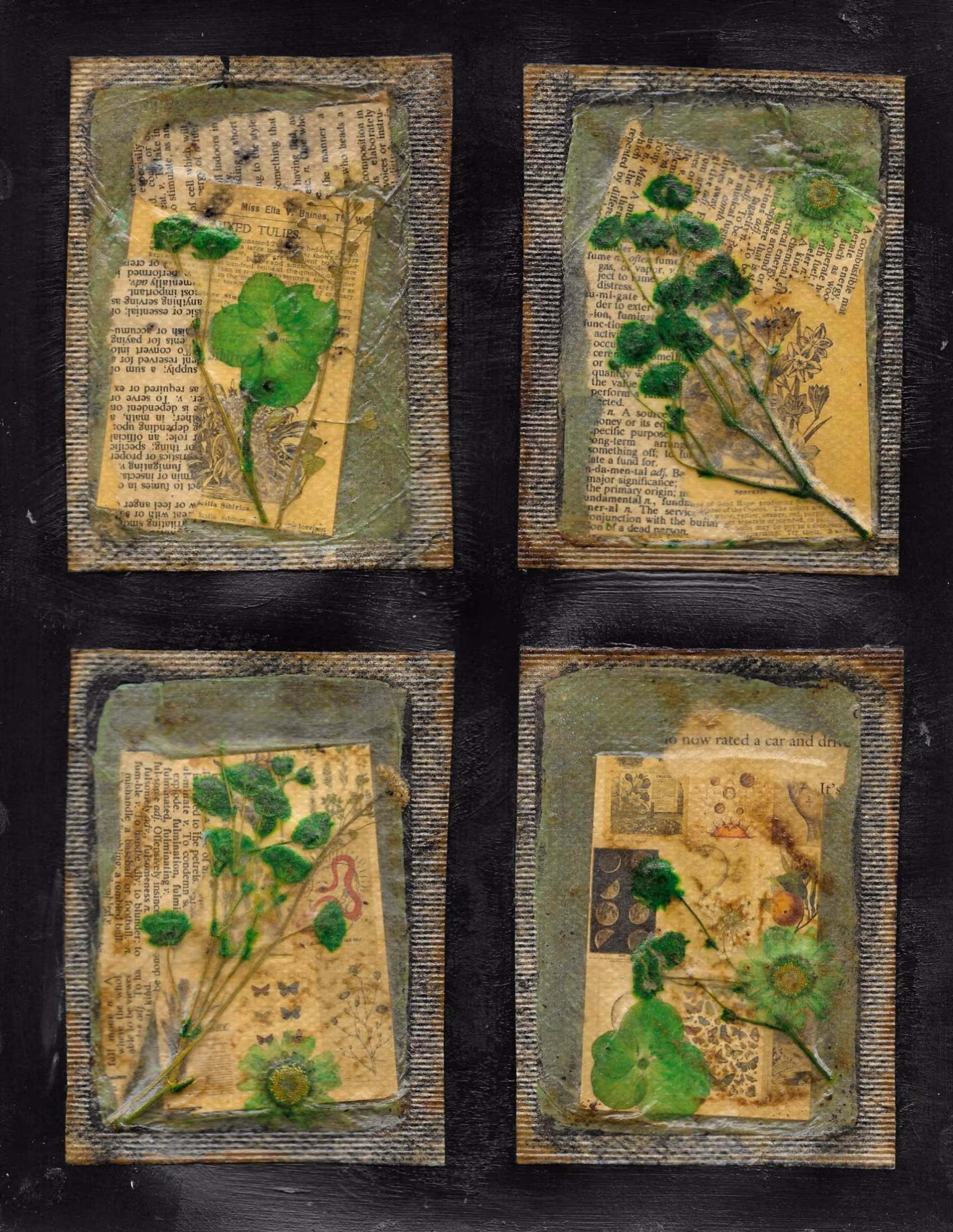 Spring’s Steeped Archive