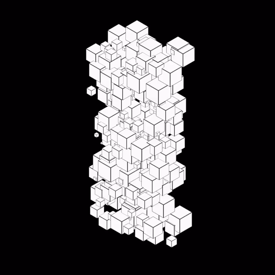 Micron Artifact 11