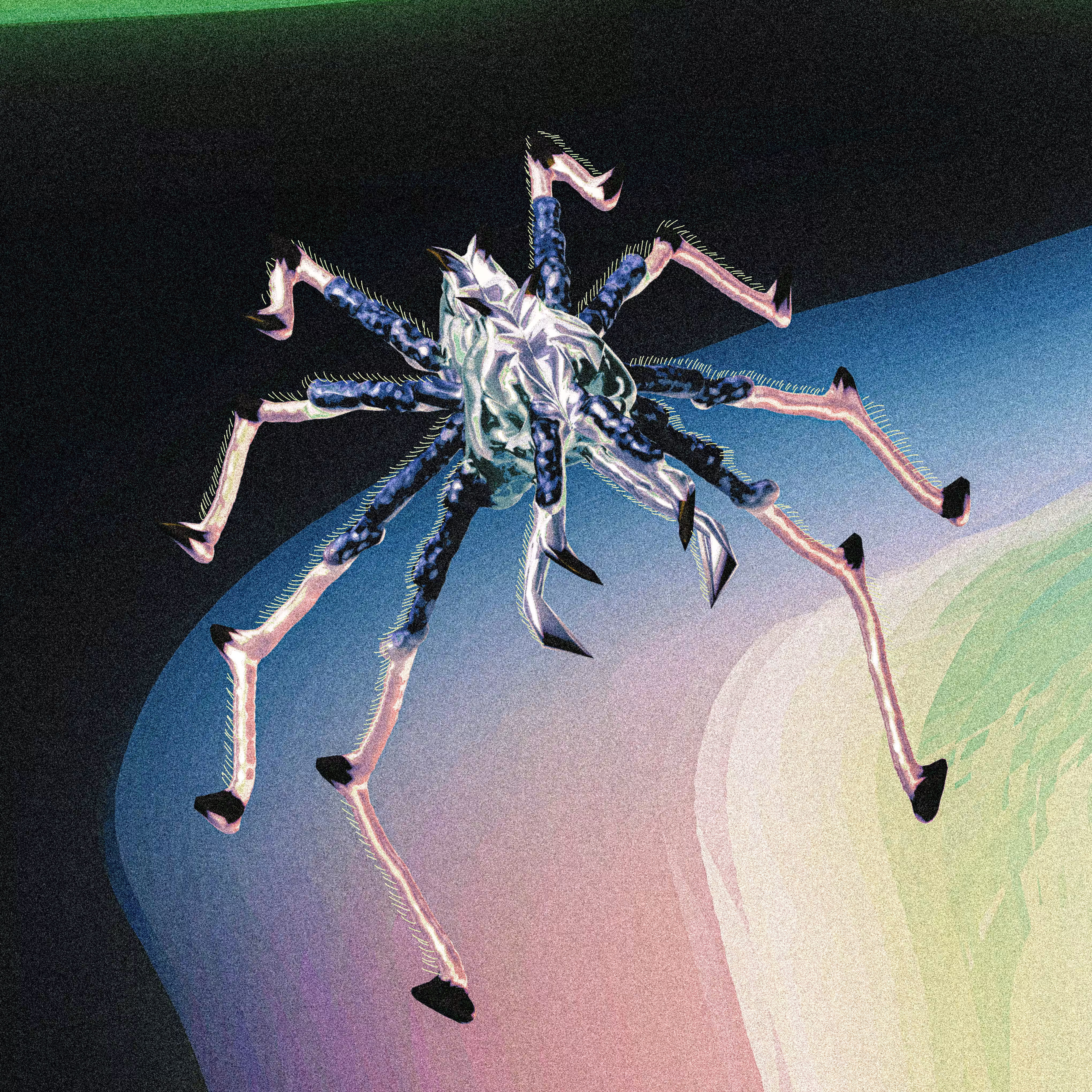 Tarantula