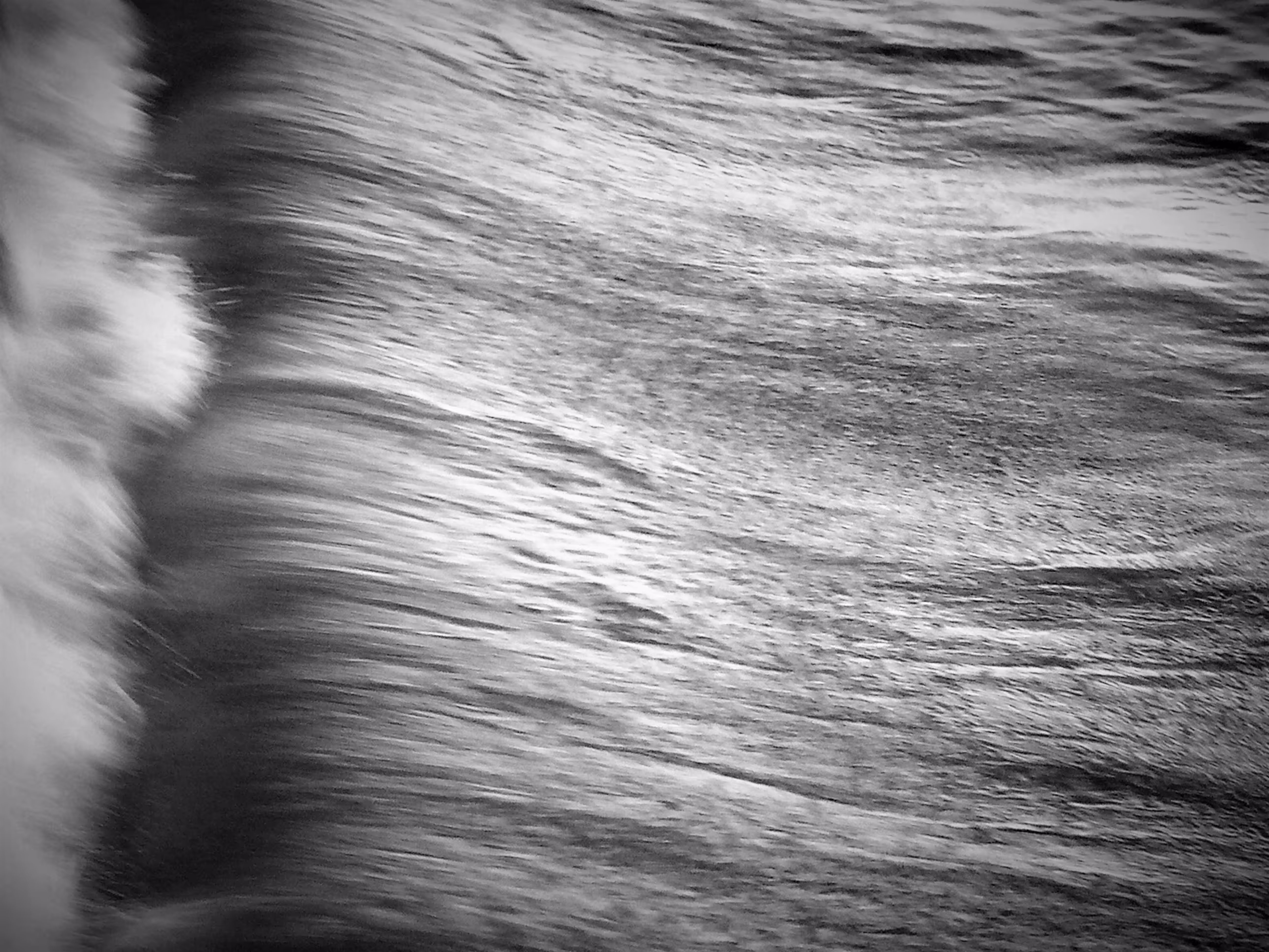 Wave