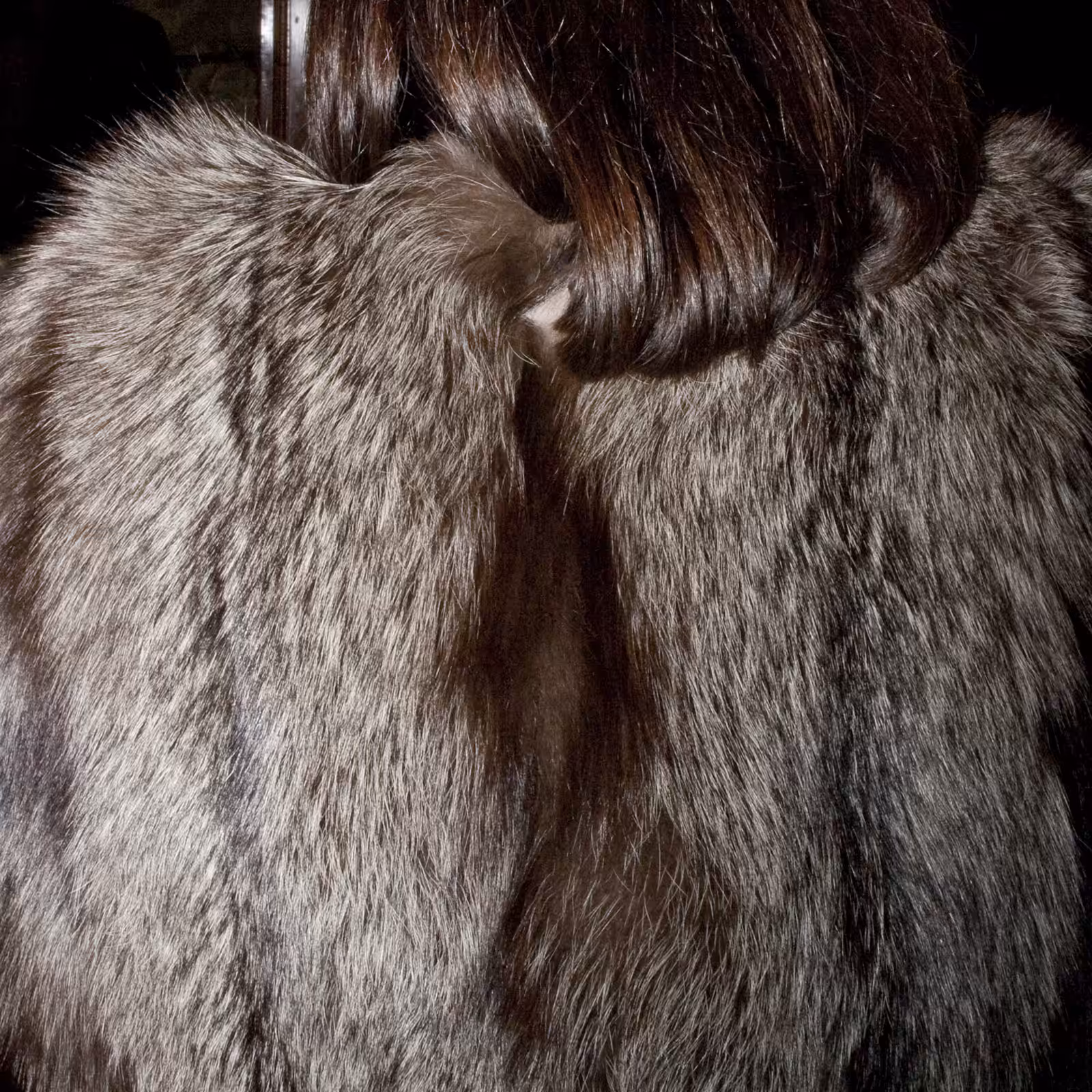 Lady Mink