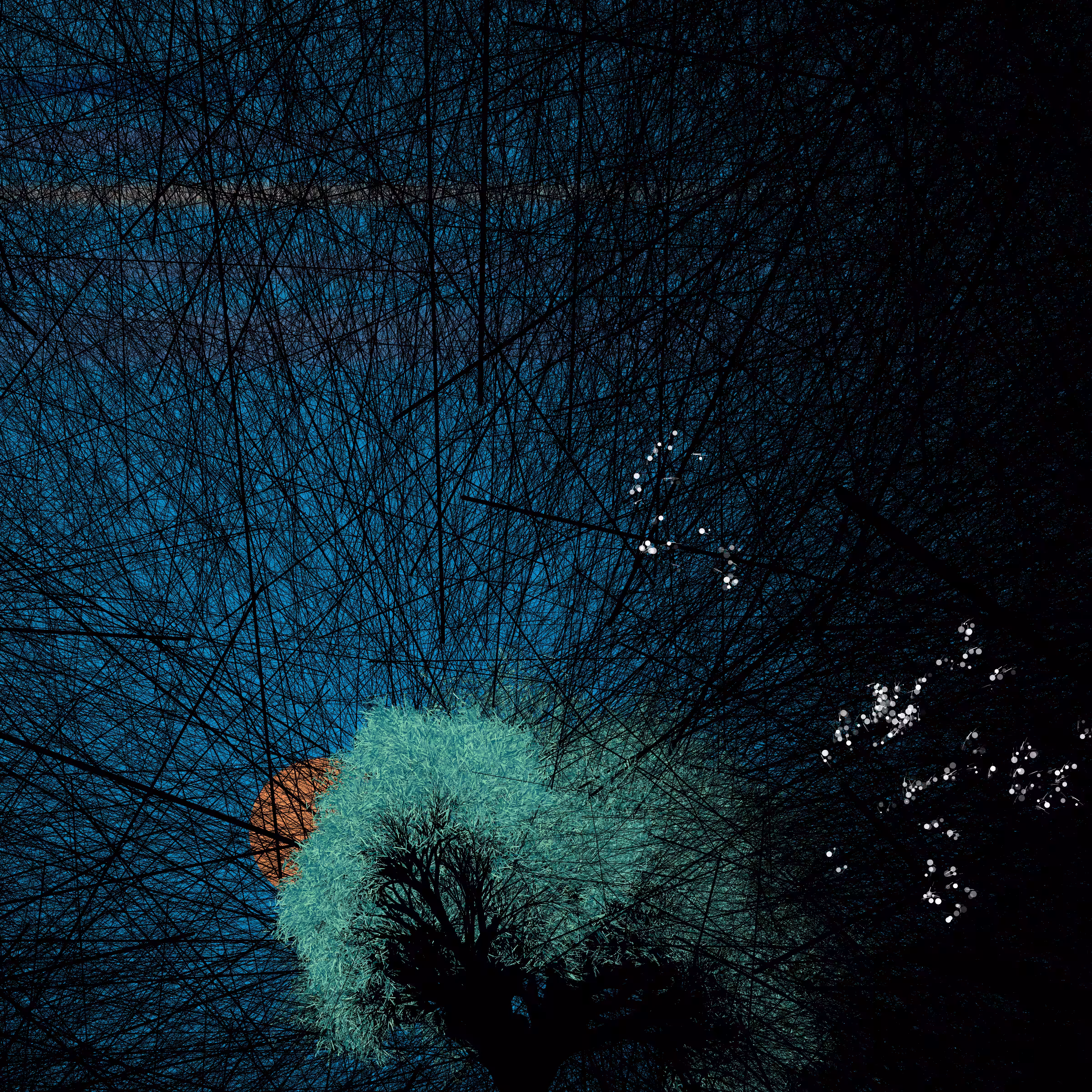 conversation with the wind #241
