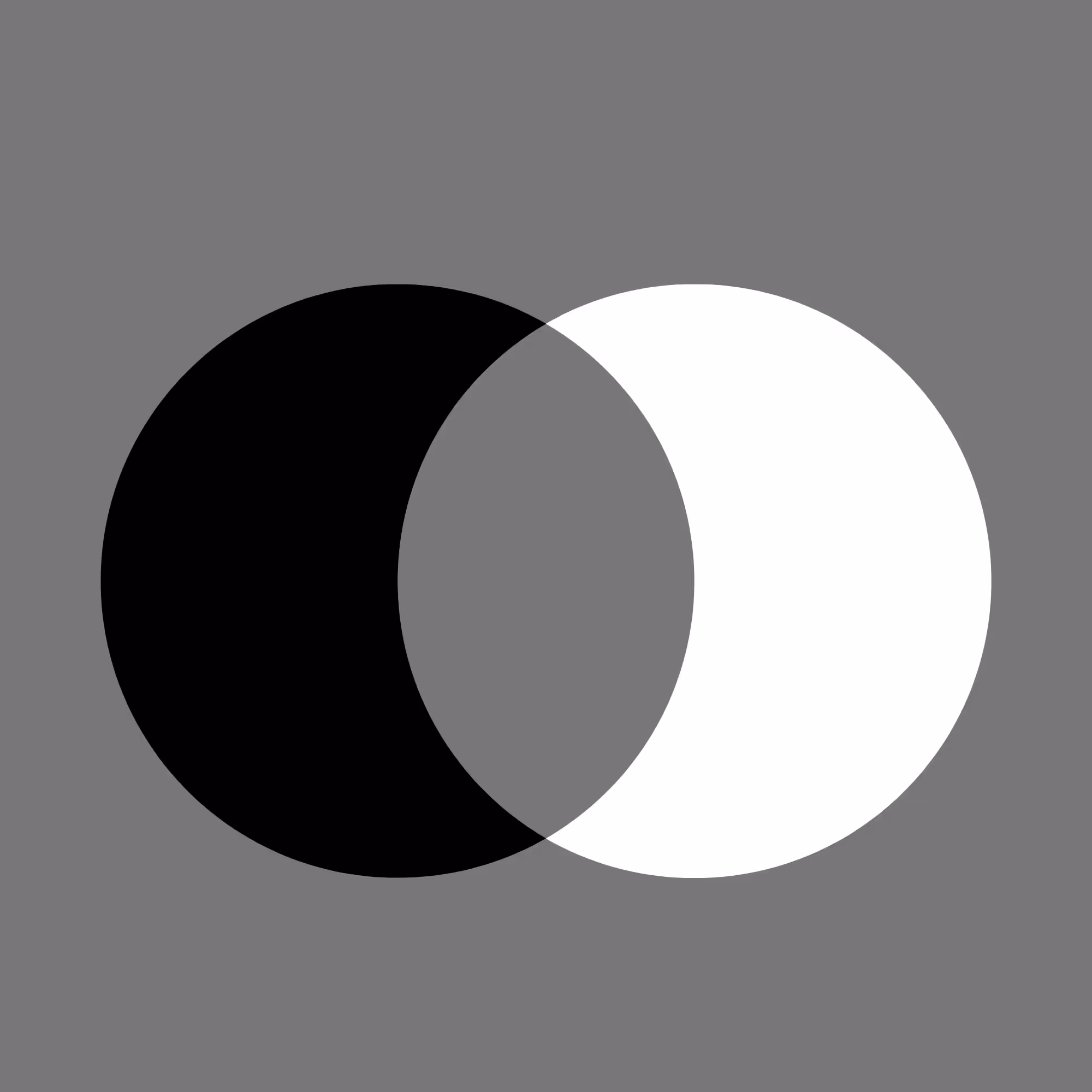 Duality