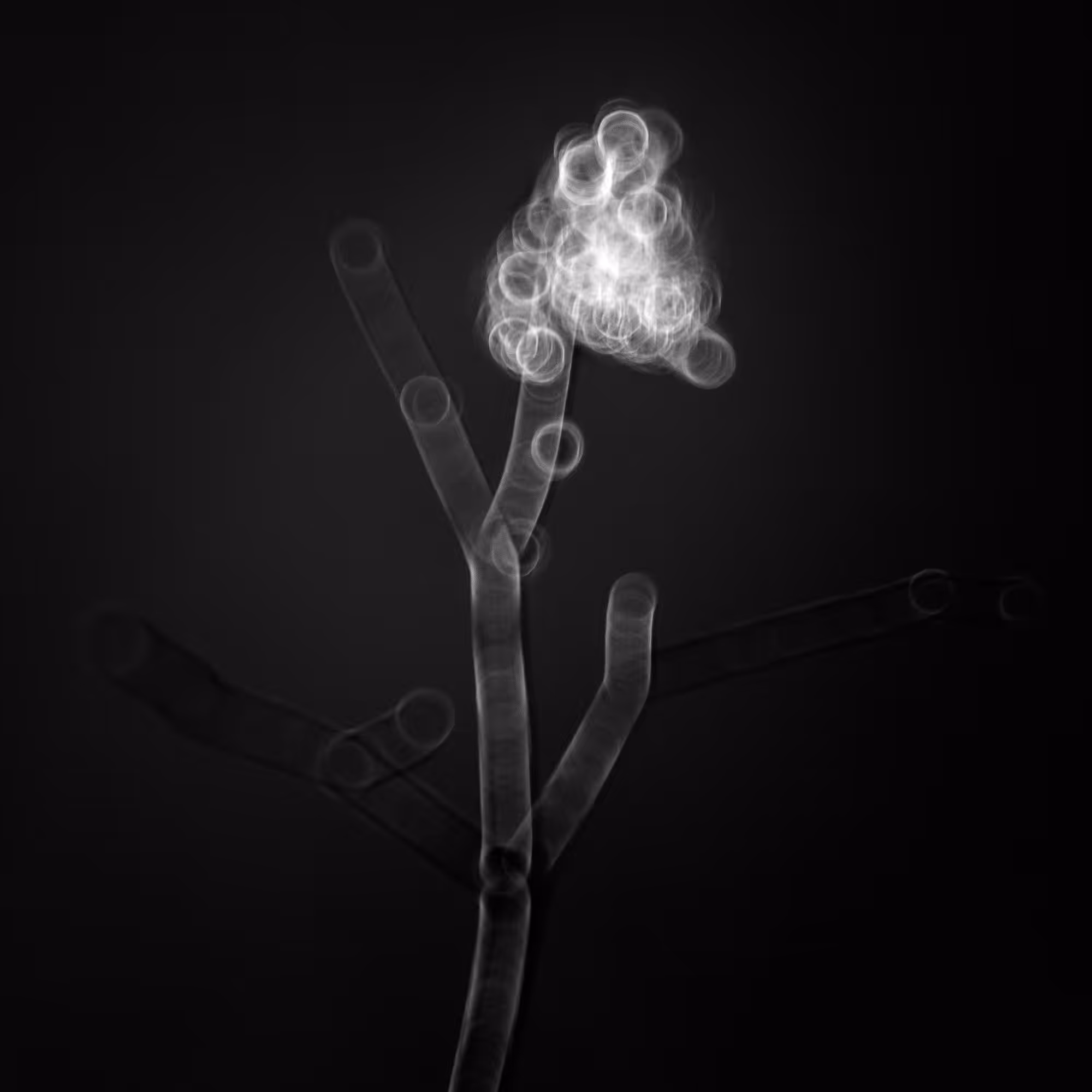 Untitled 020122-02