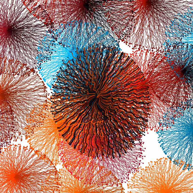 CircuWeb #28