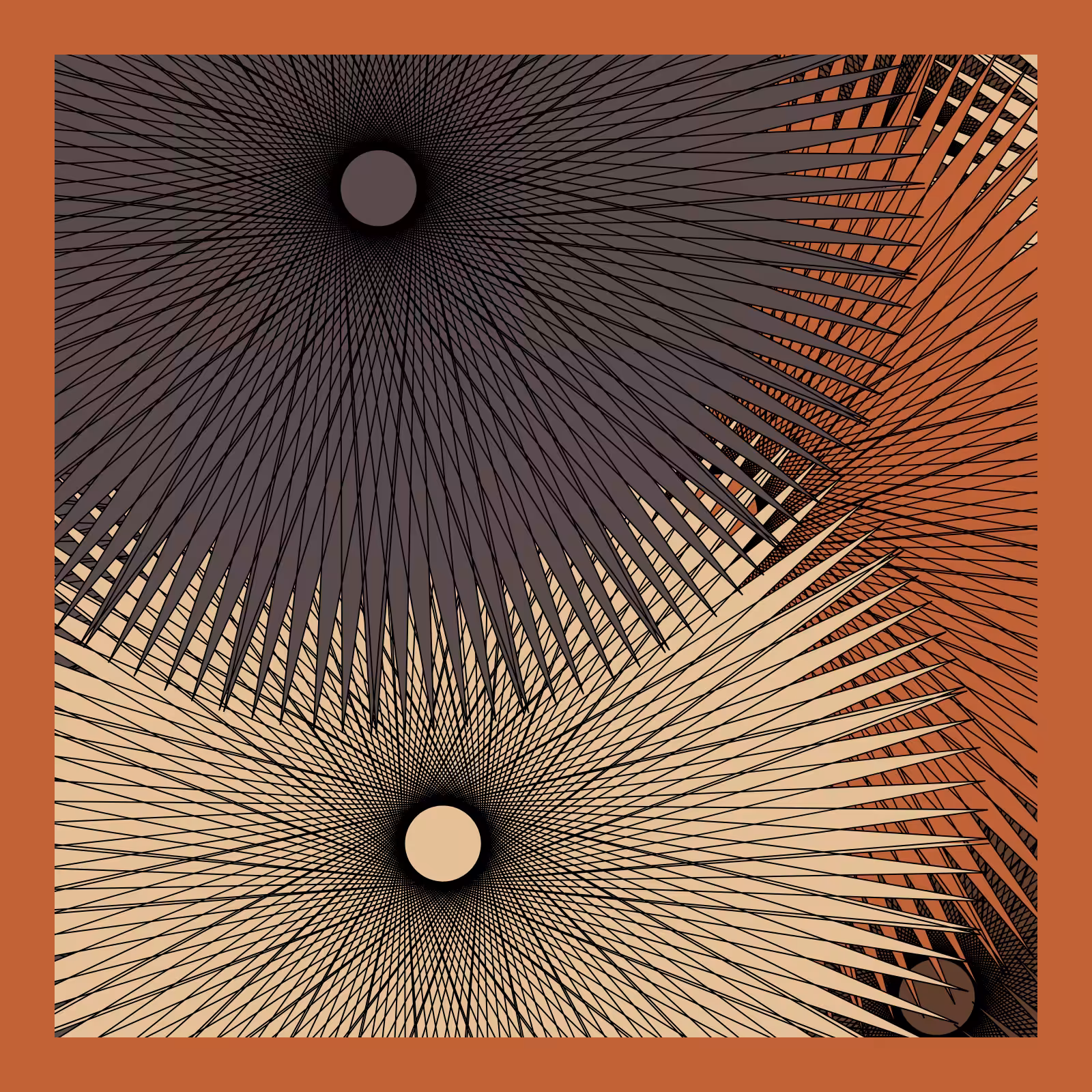 Shapex #23