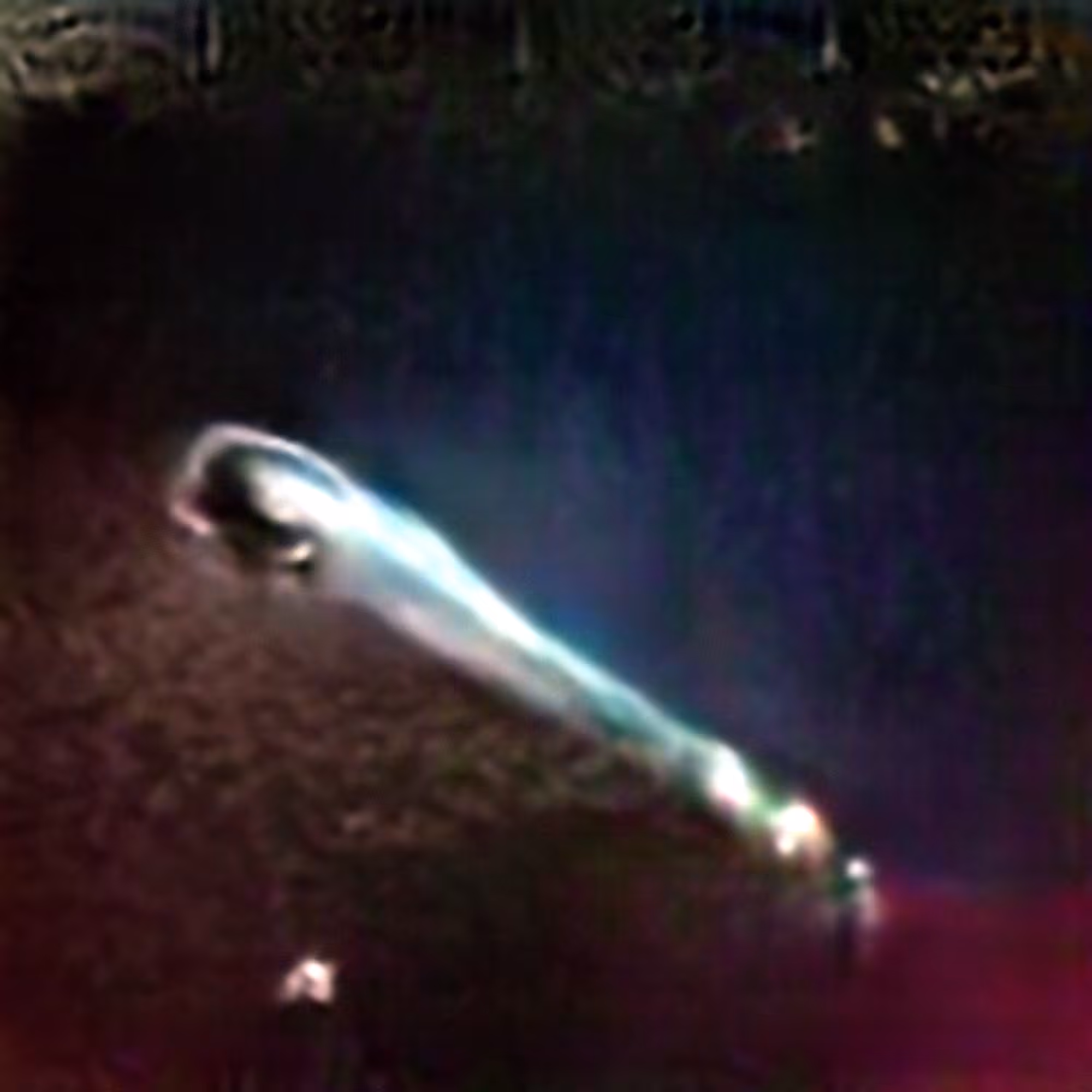 Evolved Hallucinations: Comet #5 (Corpus: Omens and Portents)