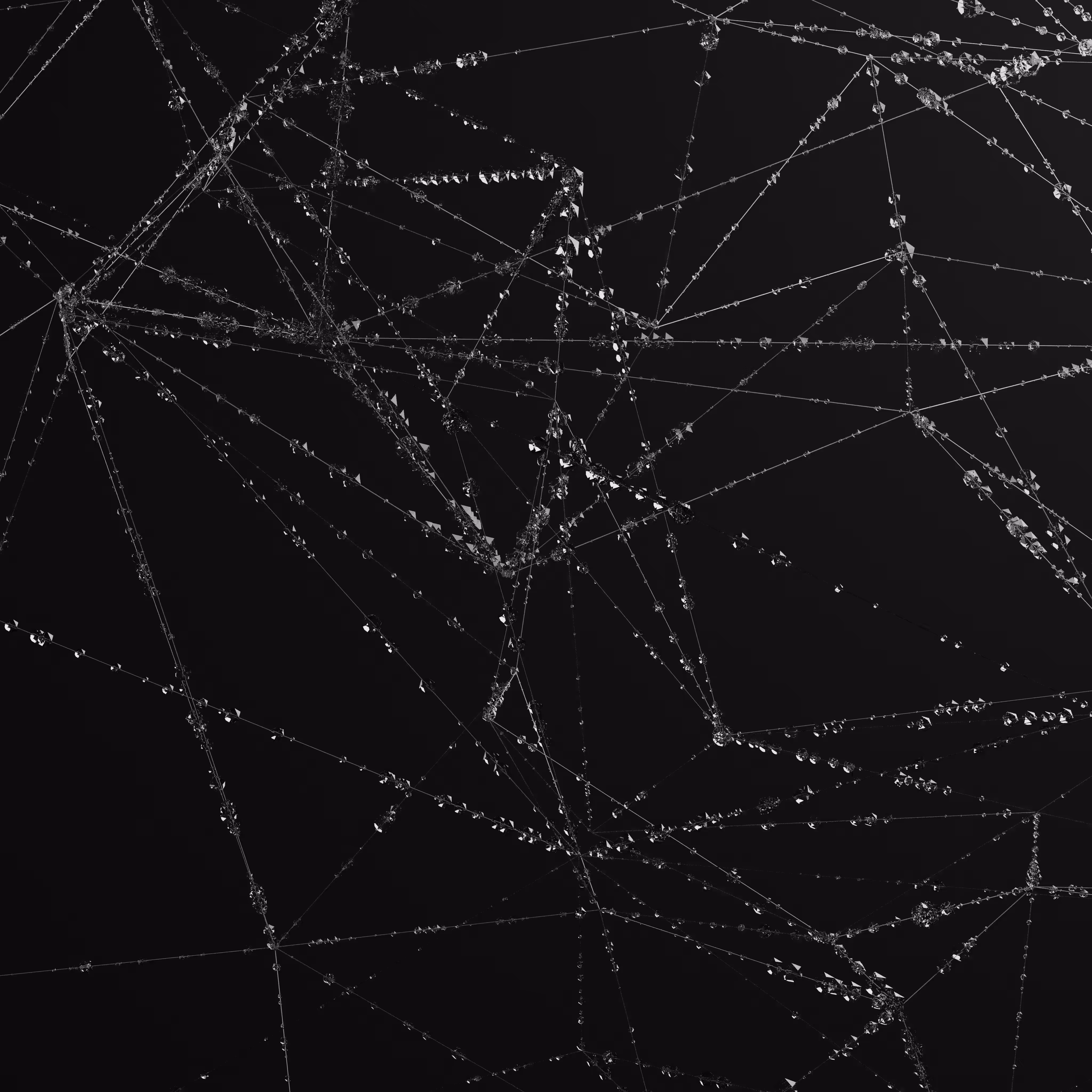 dew drops on spiderweb