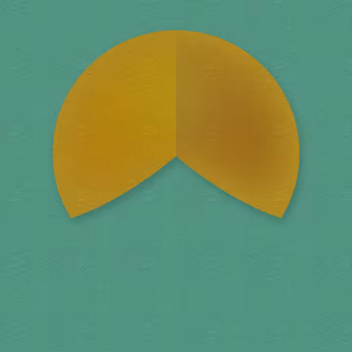 Fortune Cookies #20