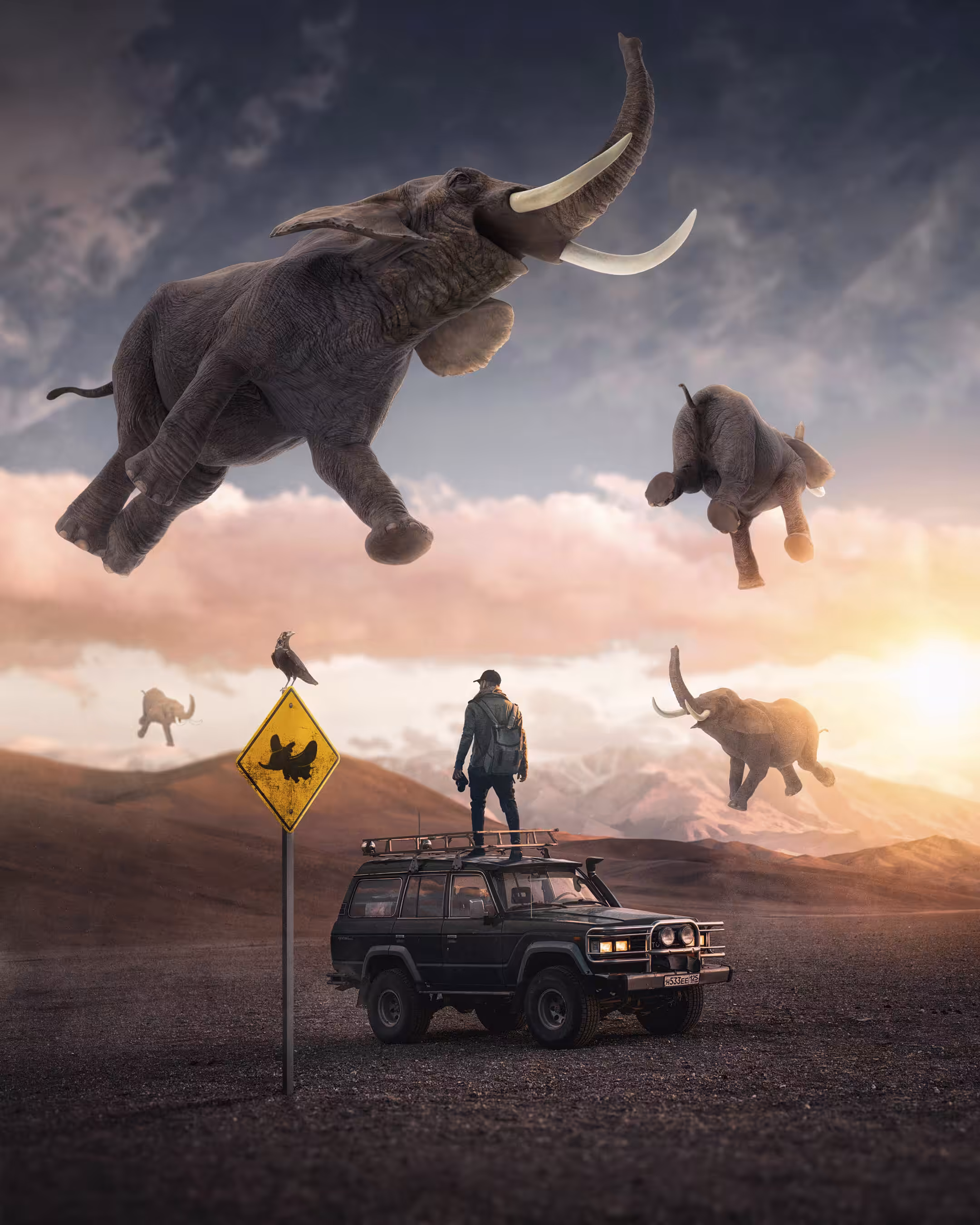 When I see an elephant fly