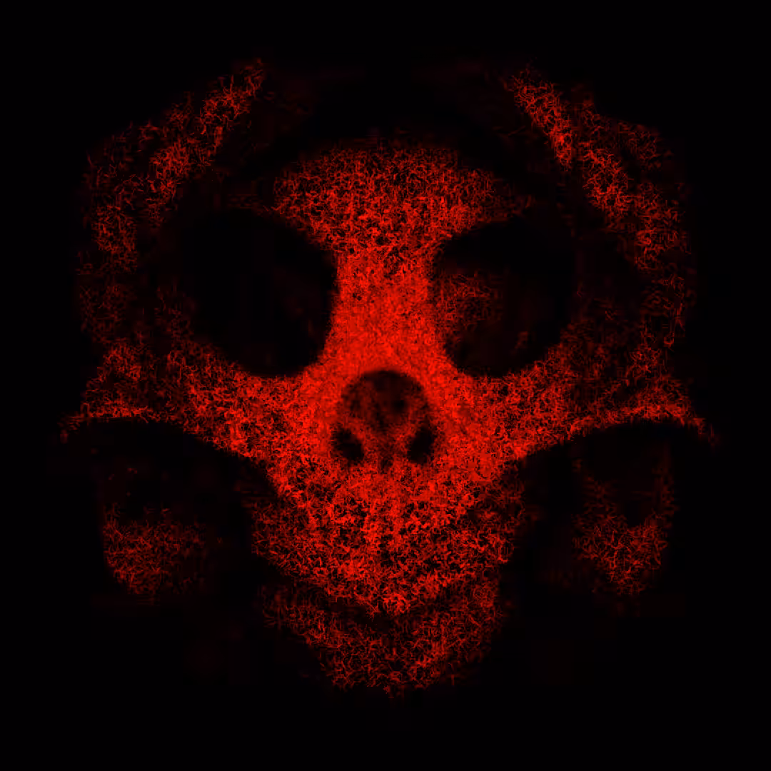 Skull #29